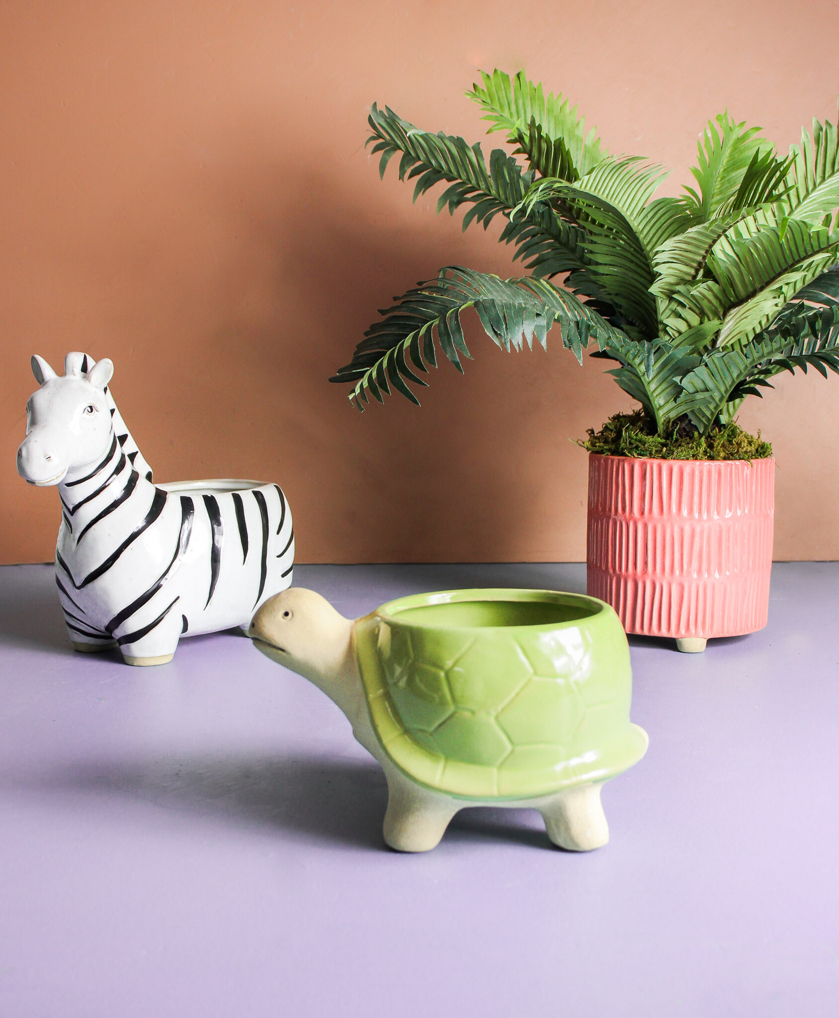 Planter Zebra