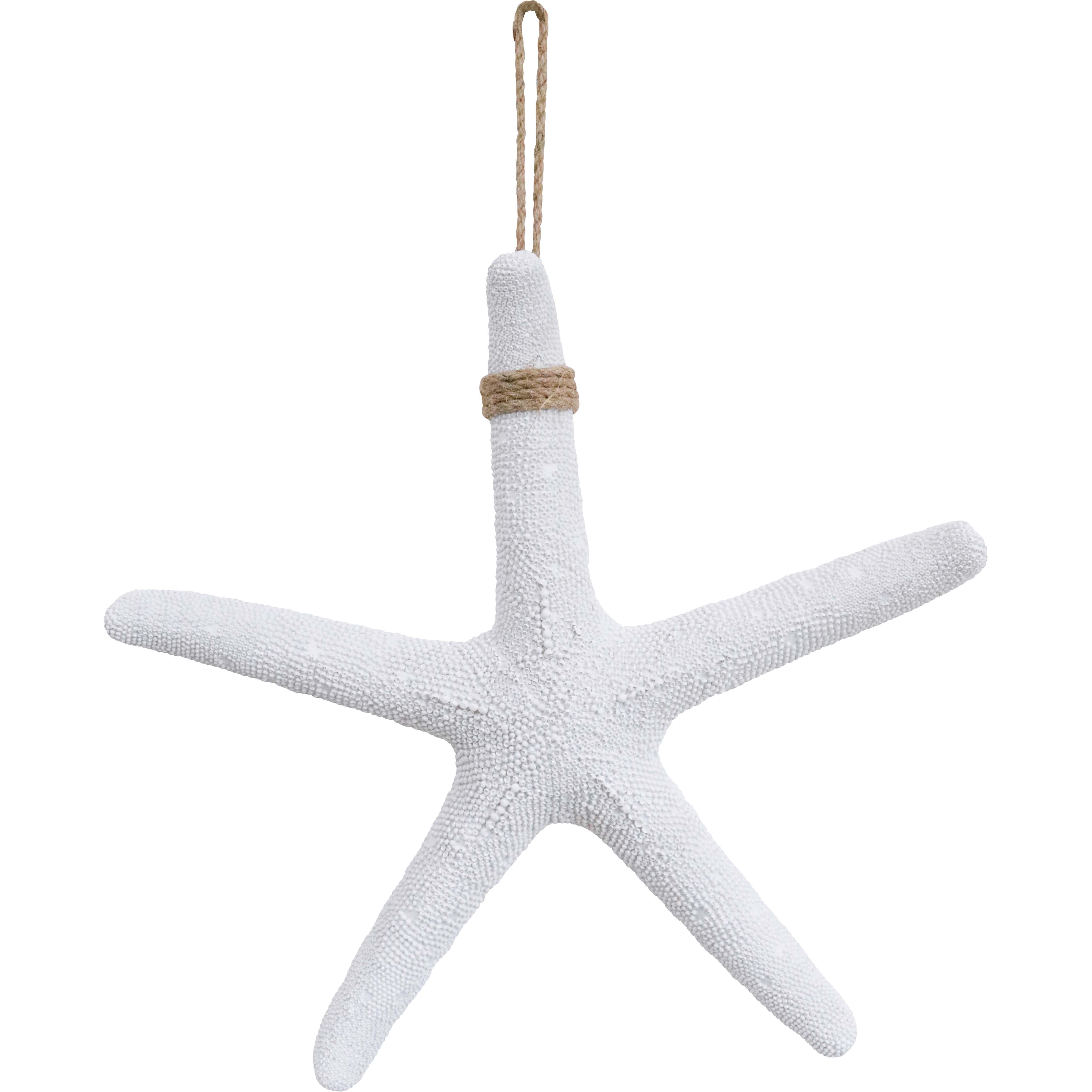 Starfish XL Textured