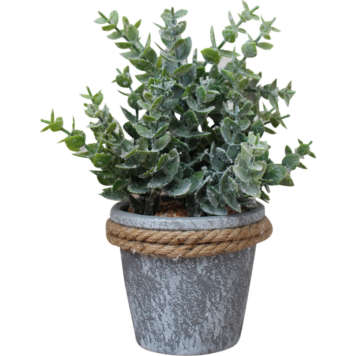 Gum Leaf Pot w/ Rope