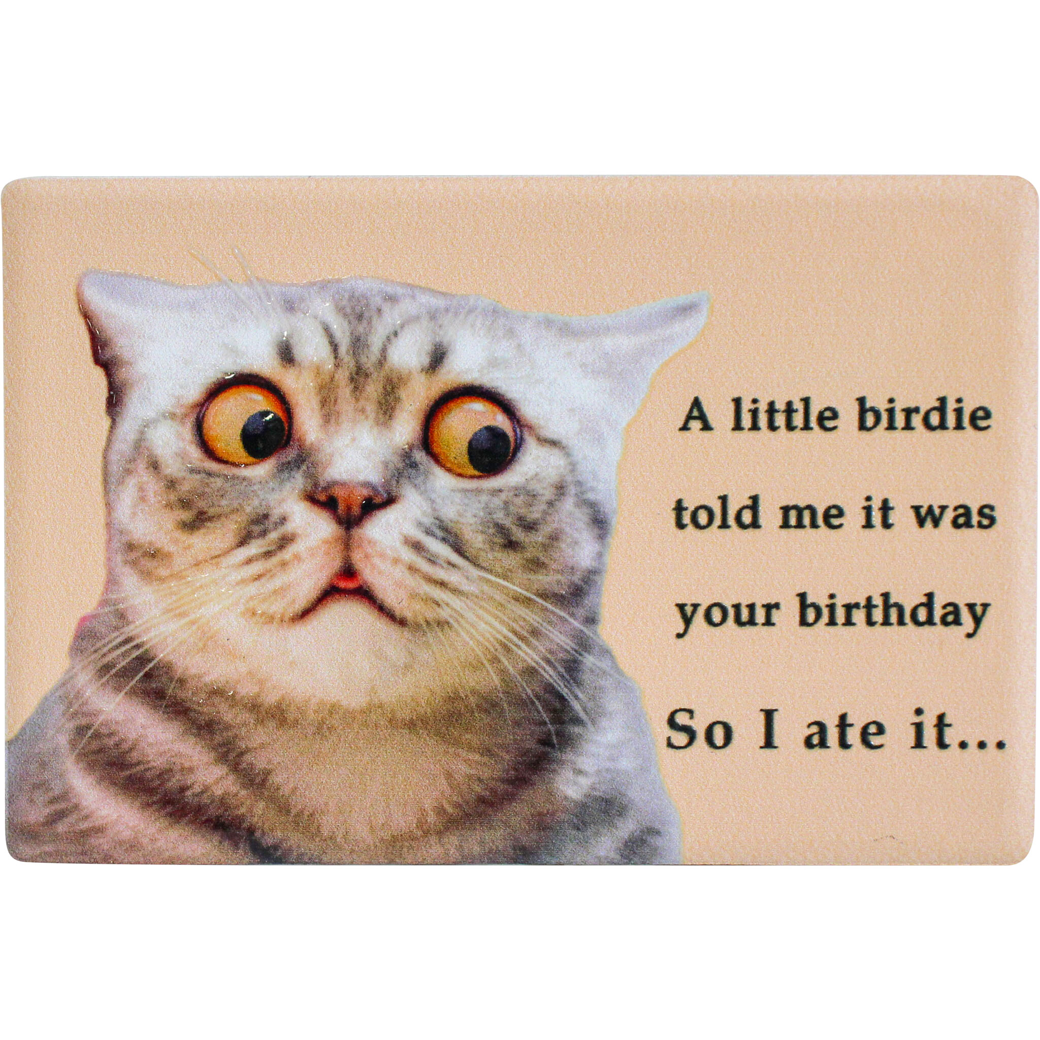 Magnet Birdie Birthday