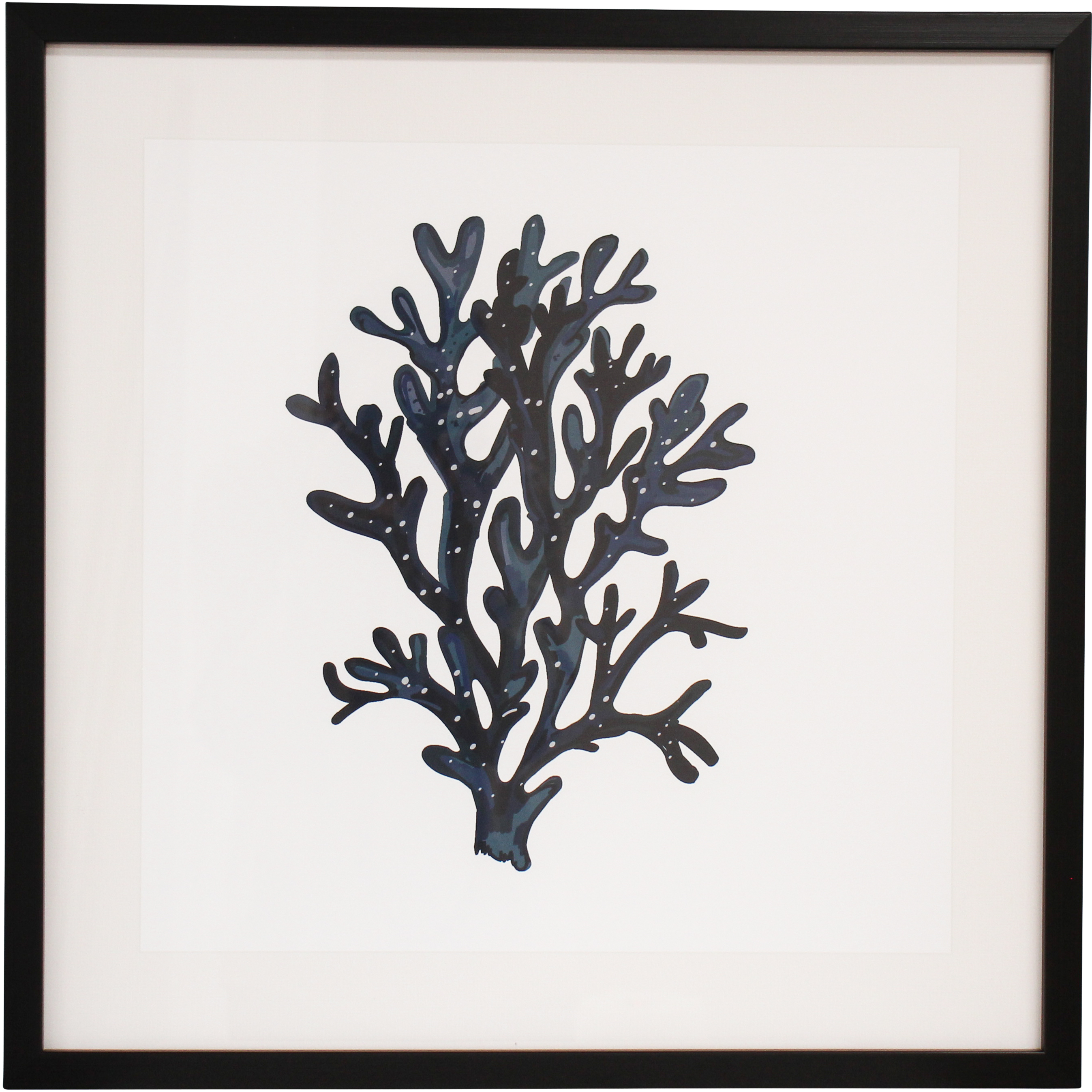 Framed Print Sea Fan 2