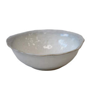 Code OZ4008-2