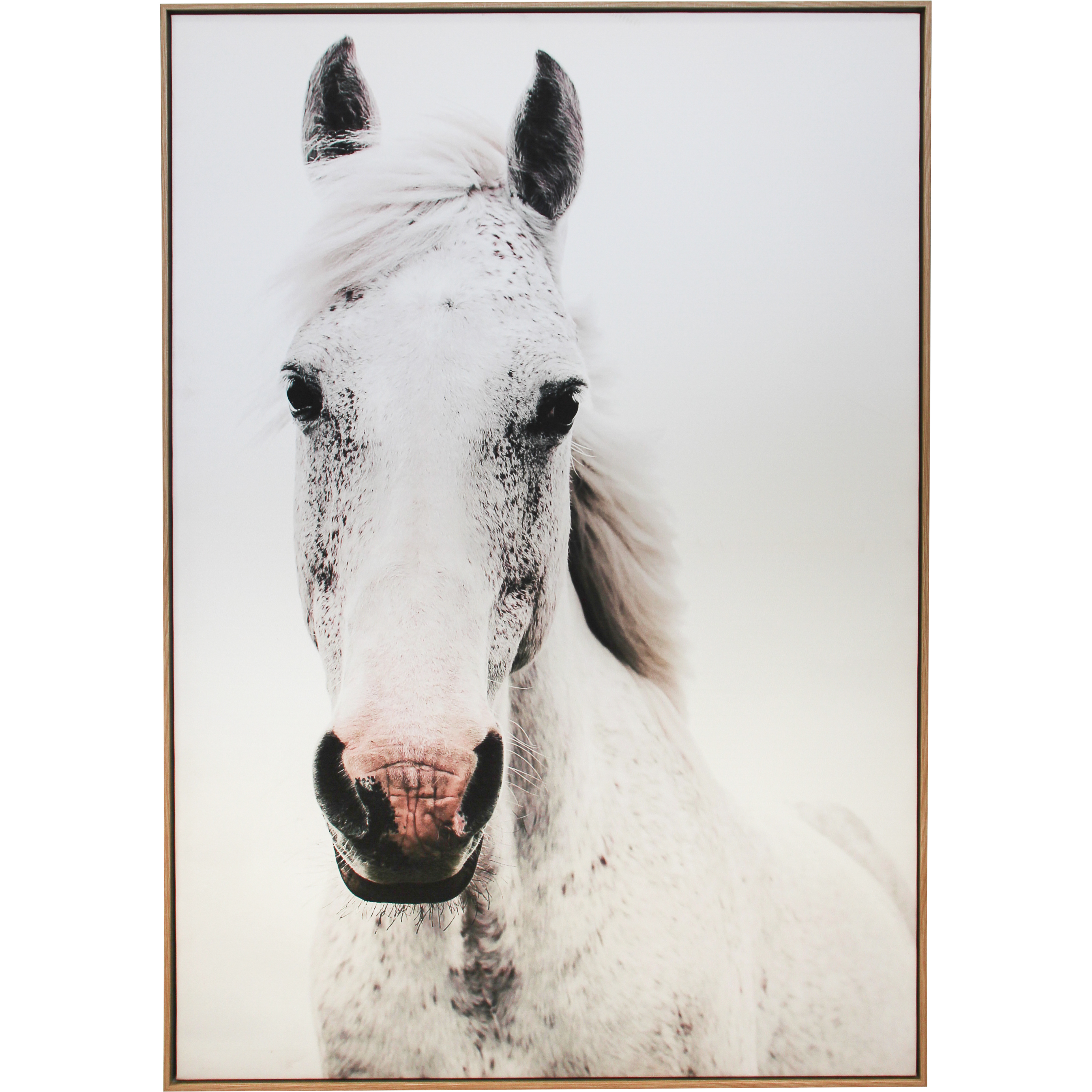 Framed Canvas Brumby