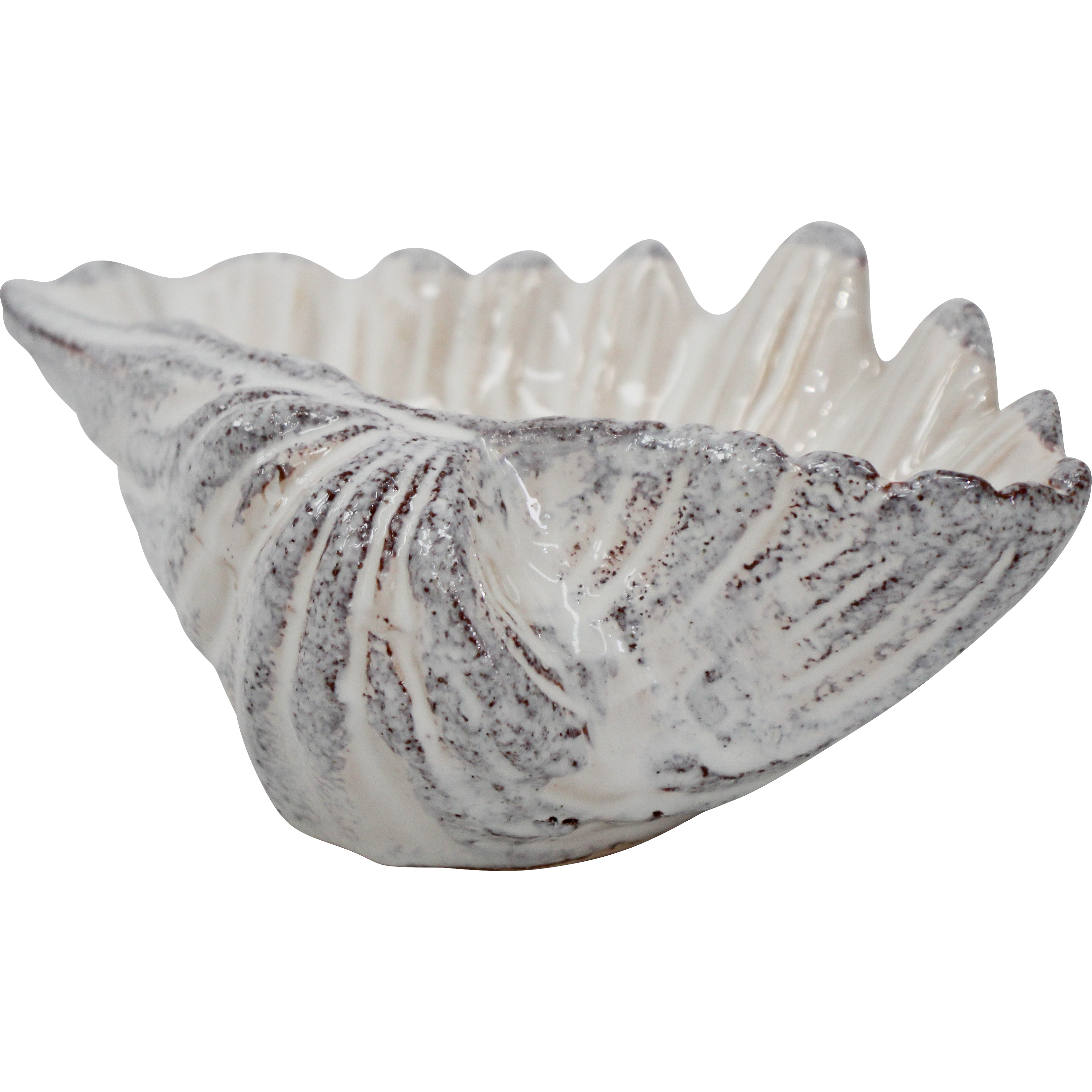 Shell Dish Ivory