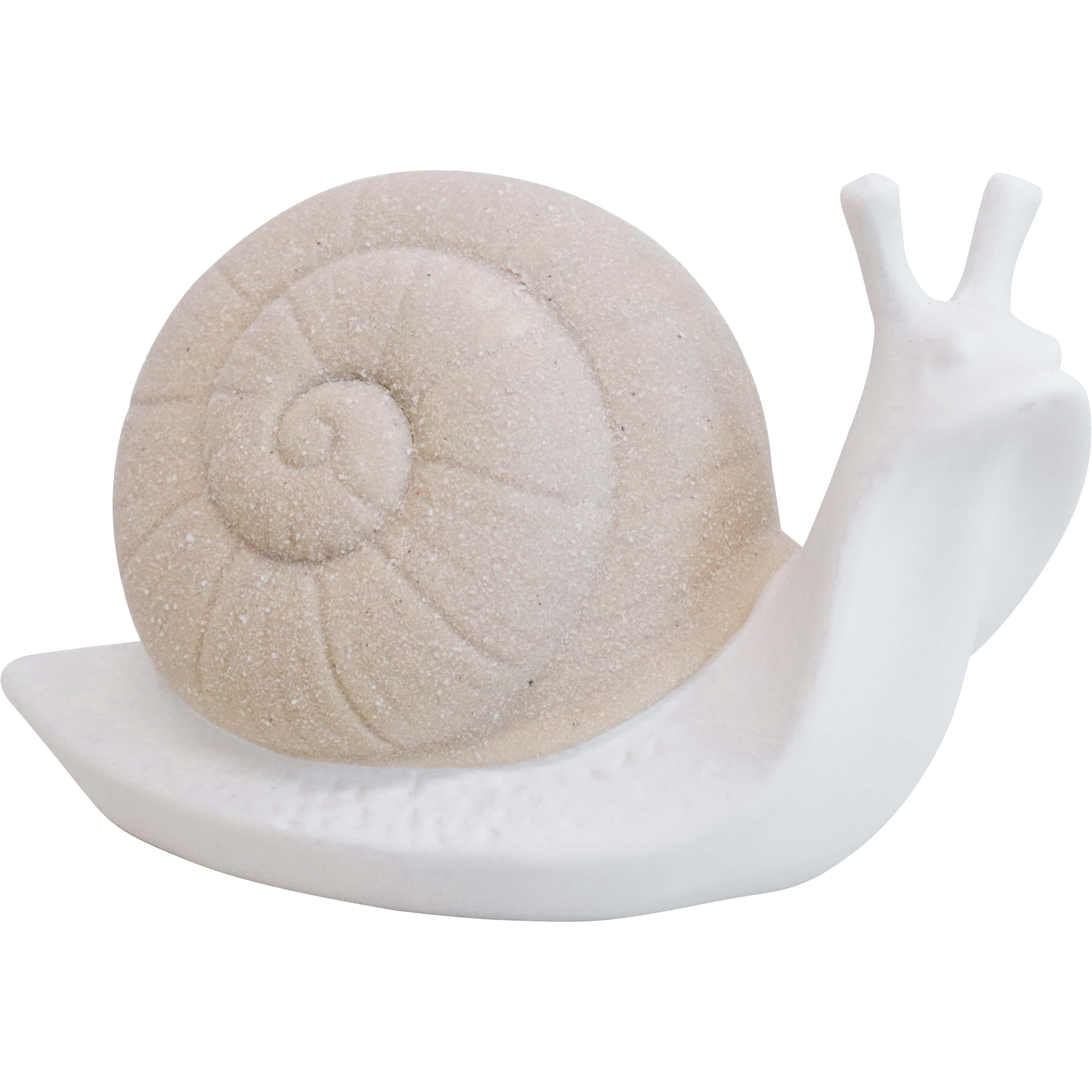 Sheldon Snail Lrg