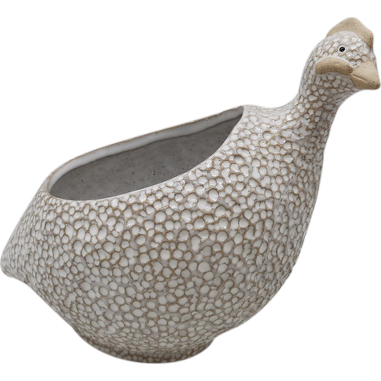 Planter Guinea Fowl 