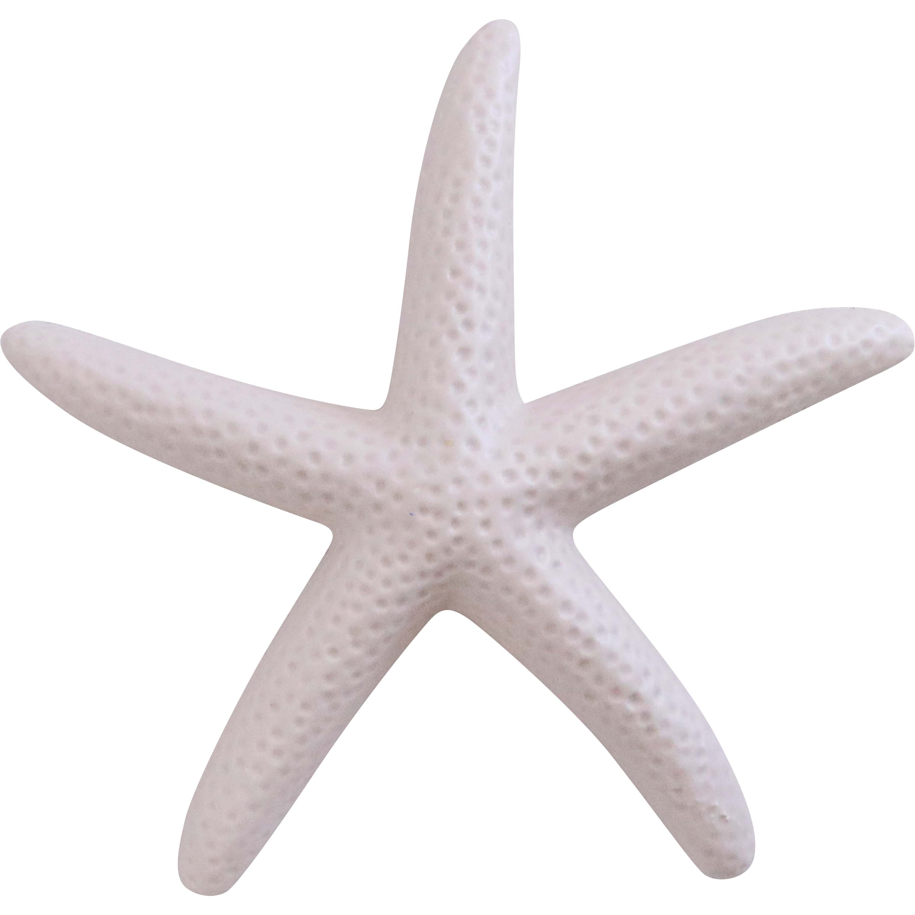 Starfish Lrg Salt