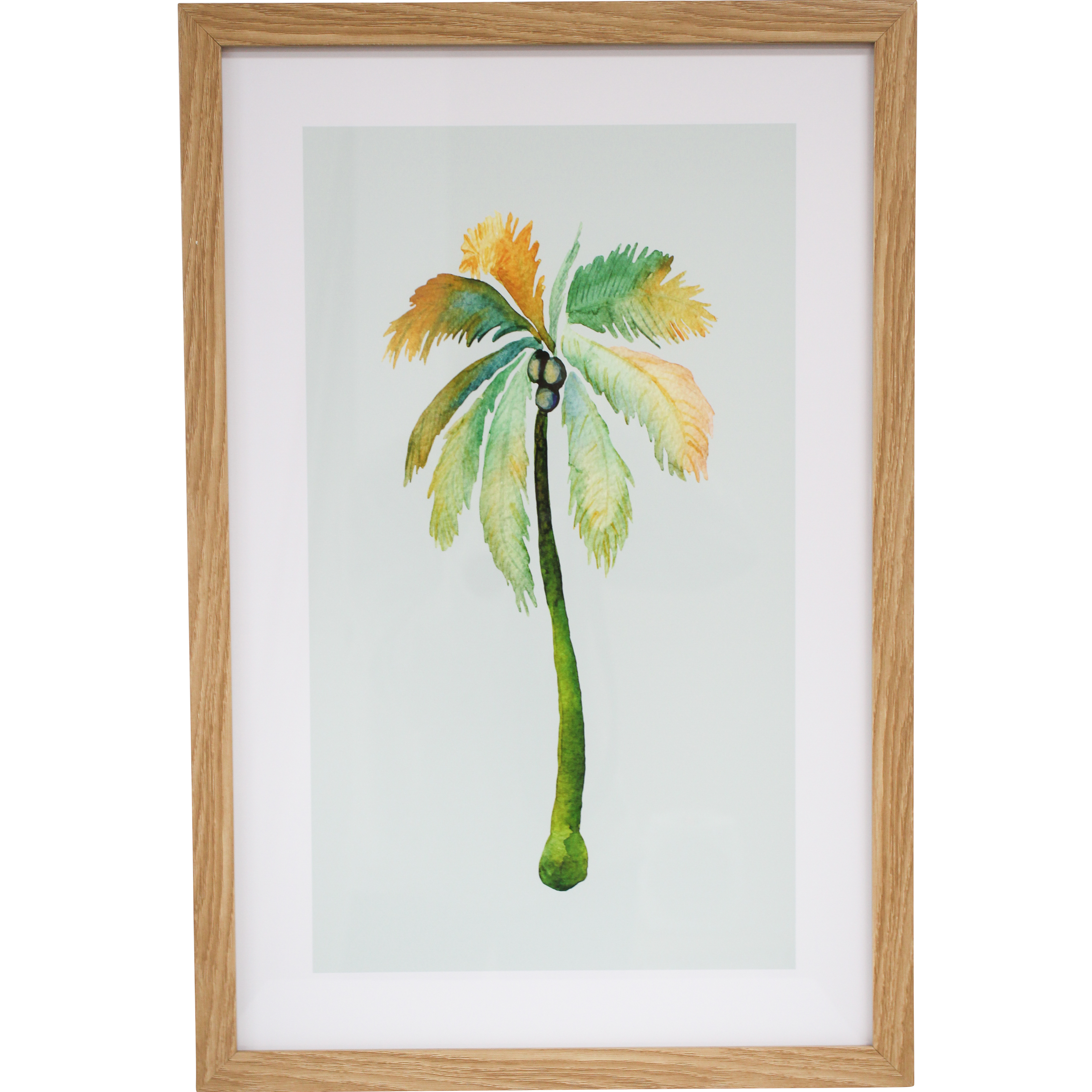 Framed Print Palm 2