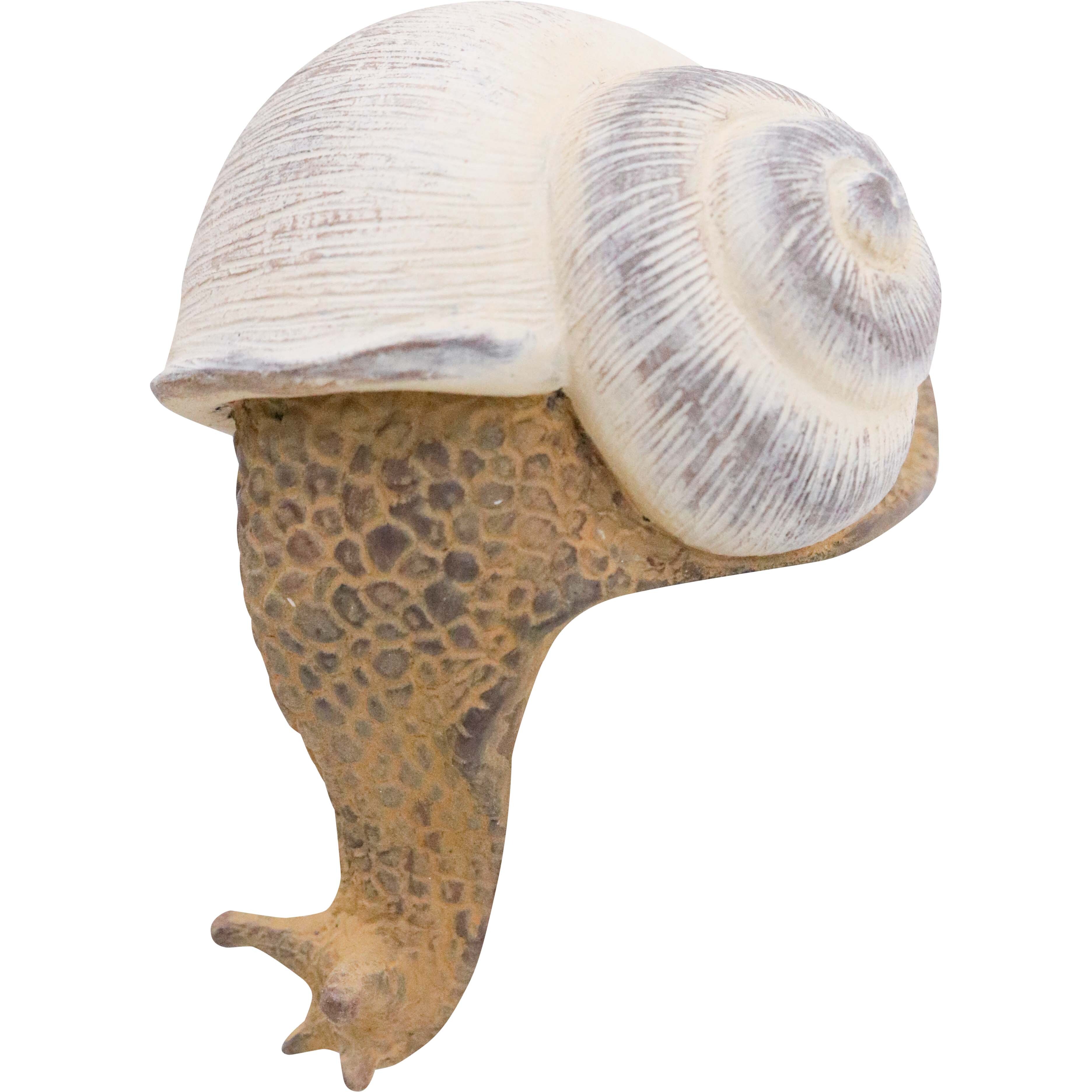 Ledge Snail Sml