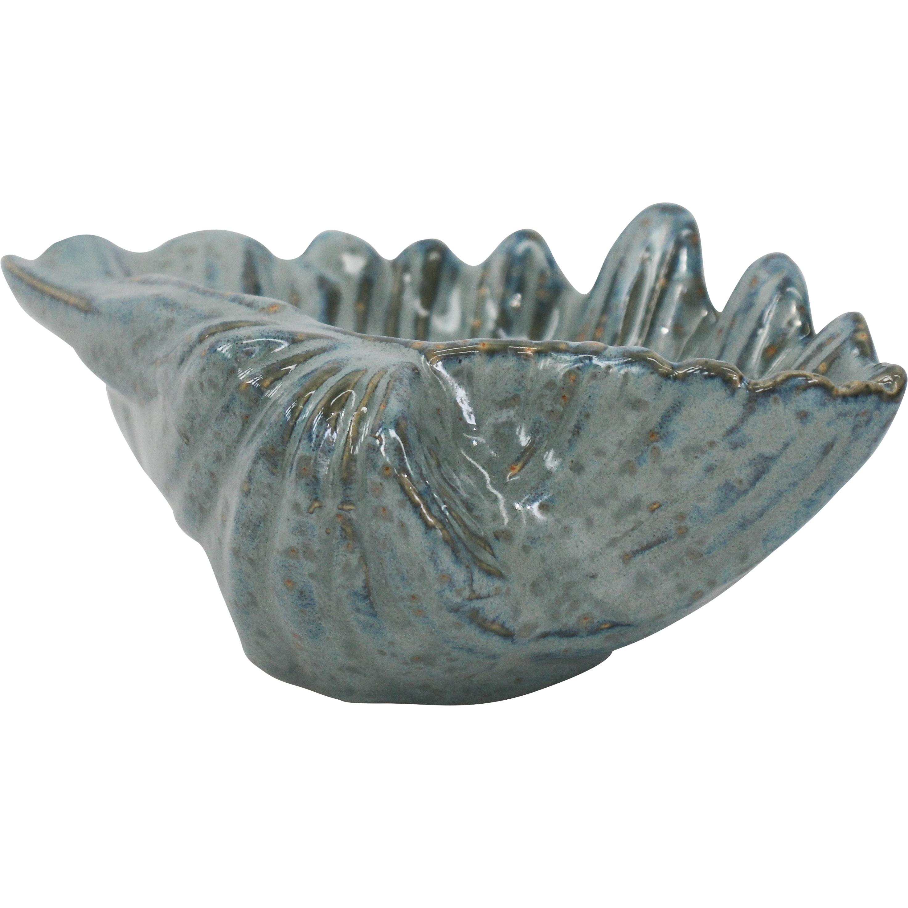 Shell Dish Ocean