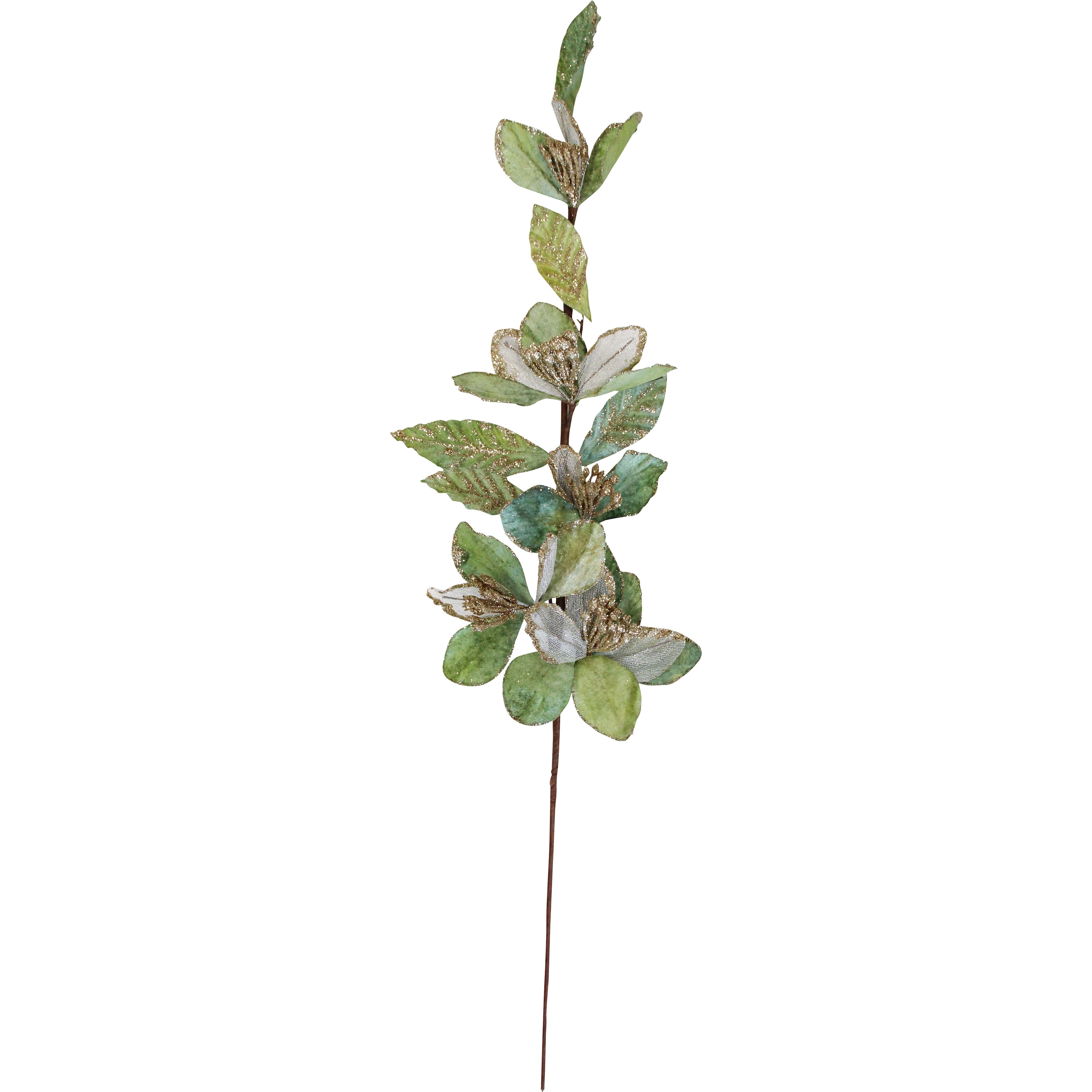 Velvet Leaf Stem Sage