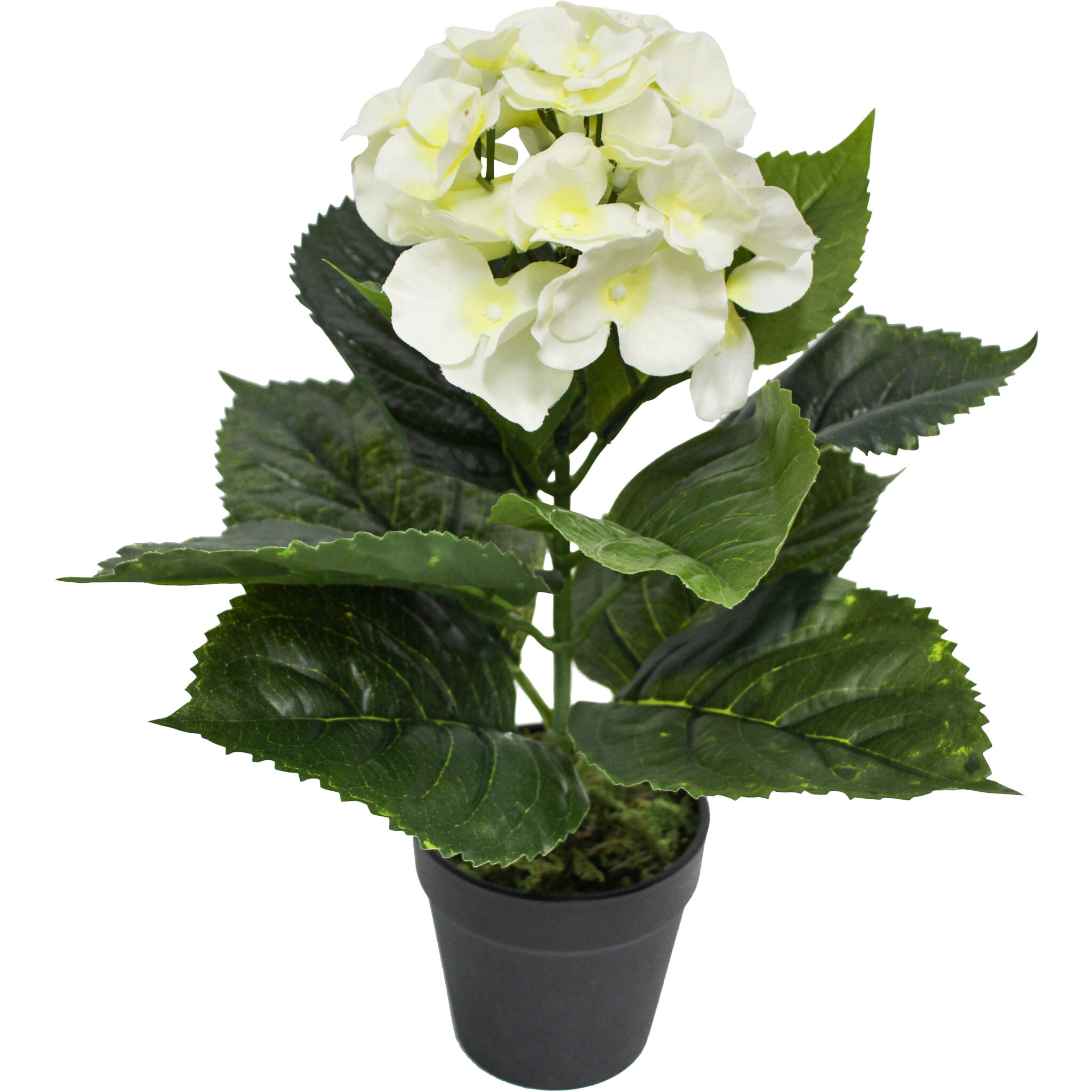 Faux Hydrangea White