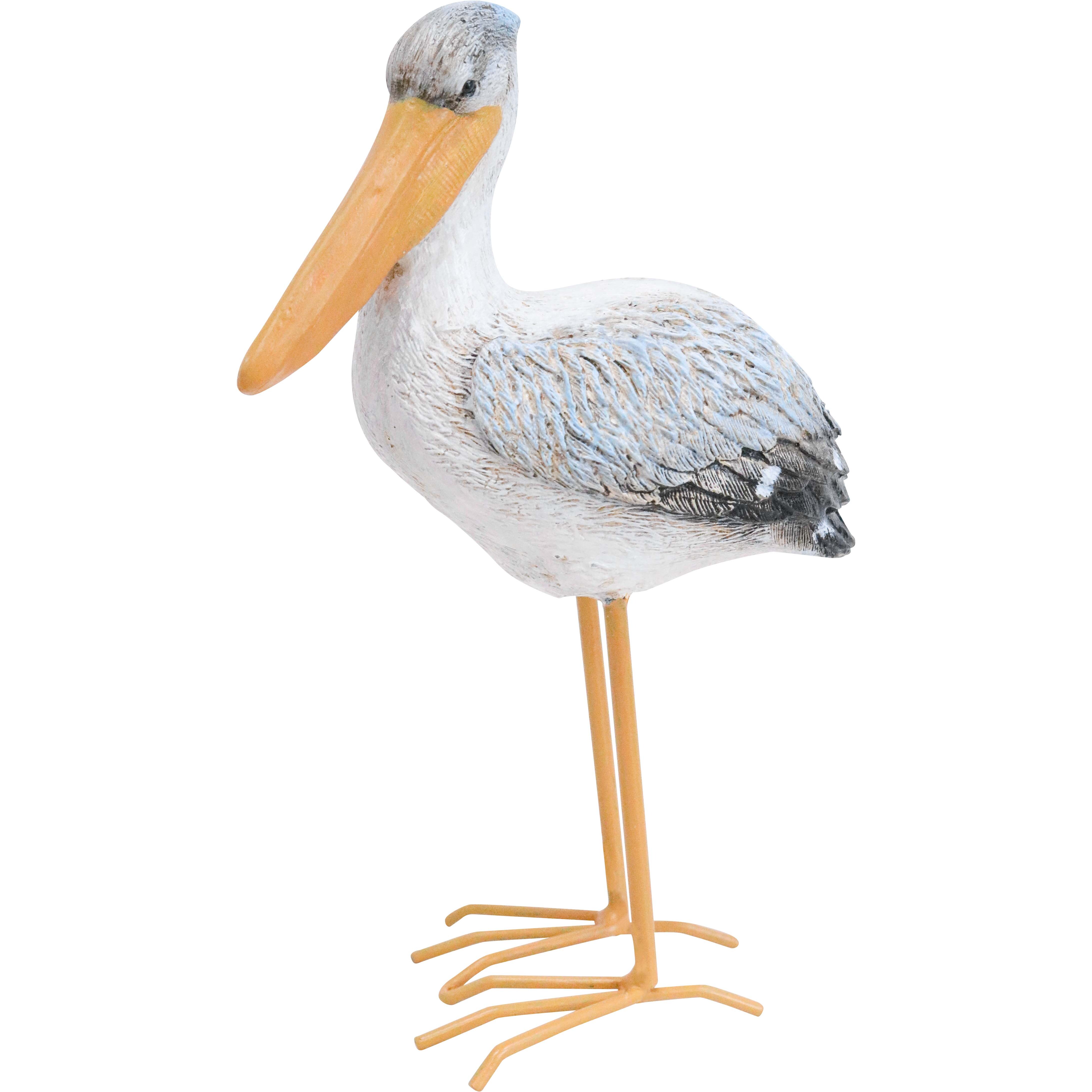 Standing Pelican