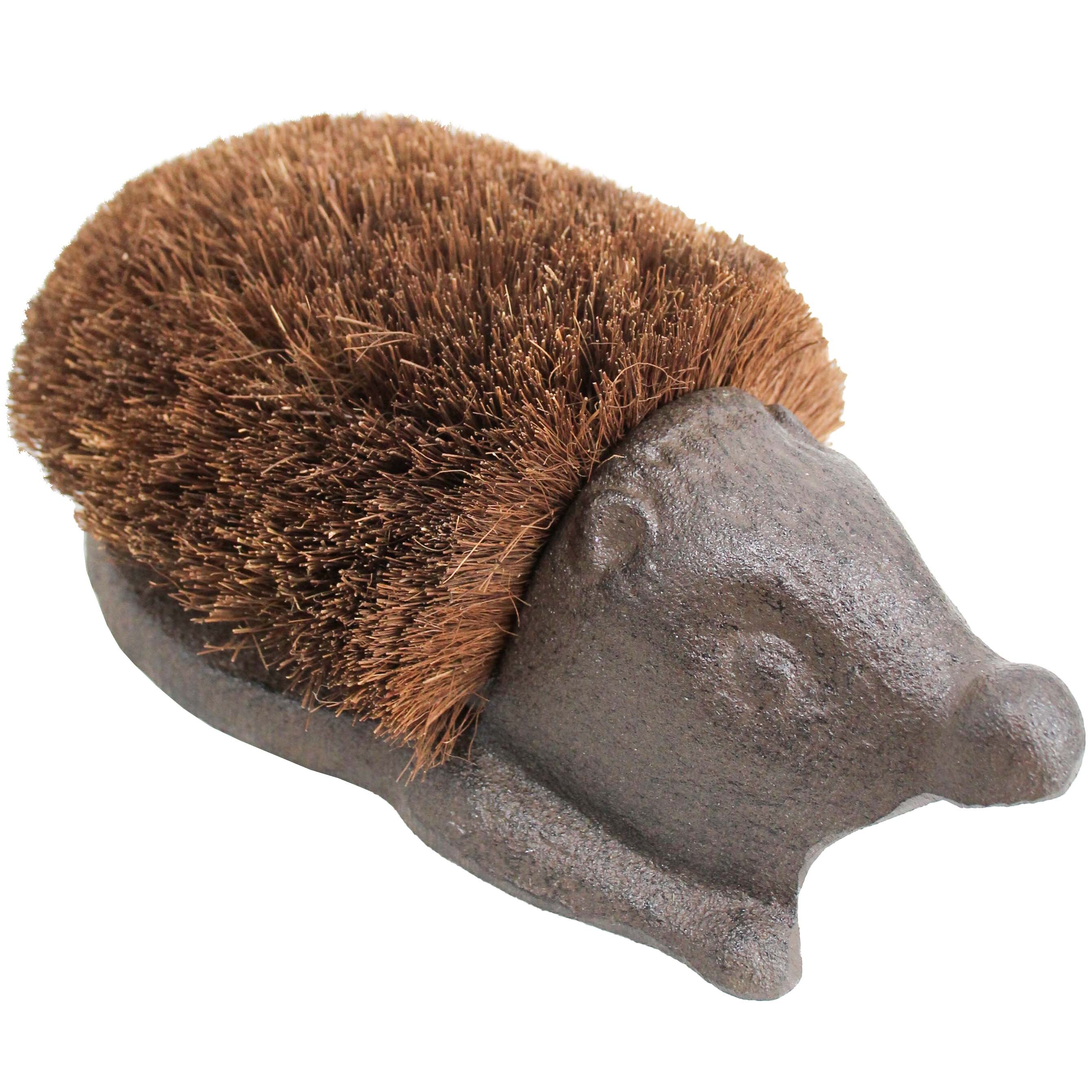 Shoe Brush Echidna