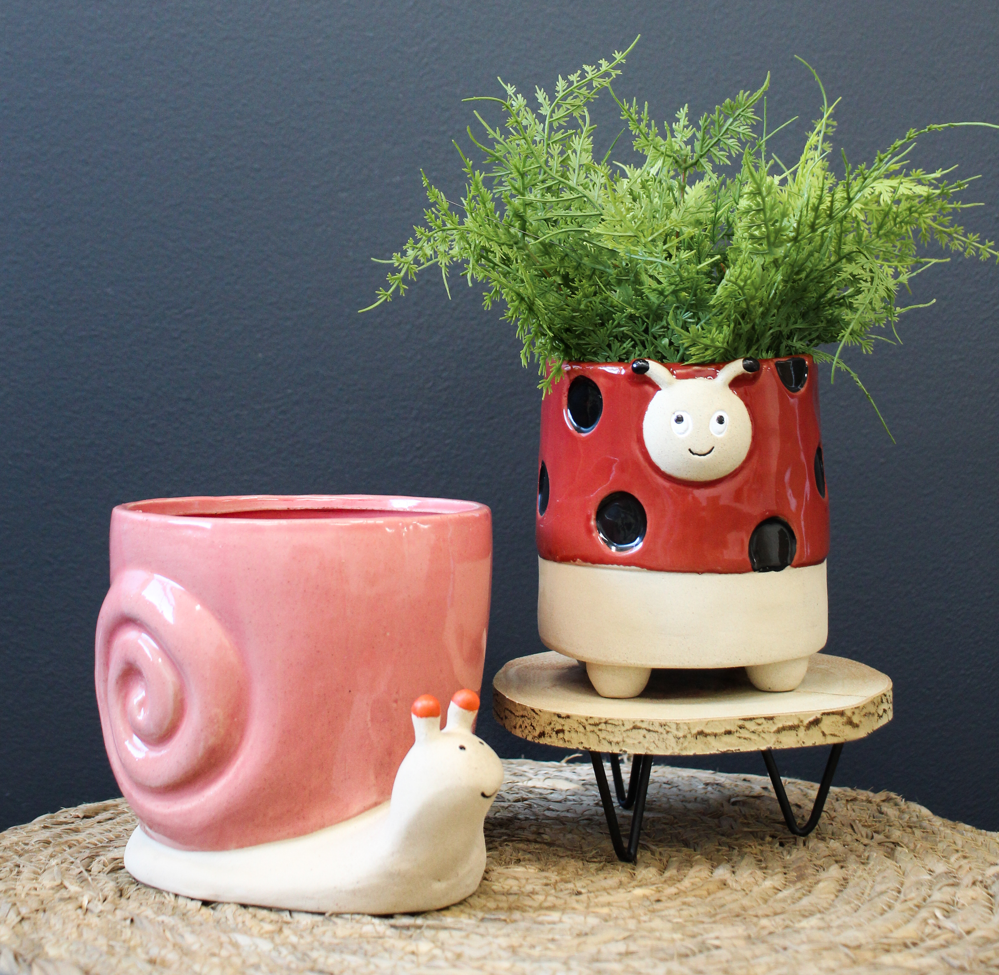 Planter Lucky Snail Rust Lrg