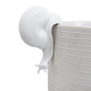 Code BL7749-12
