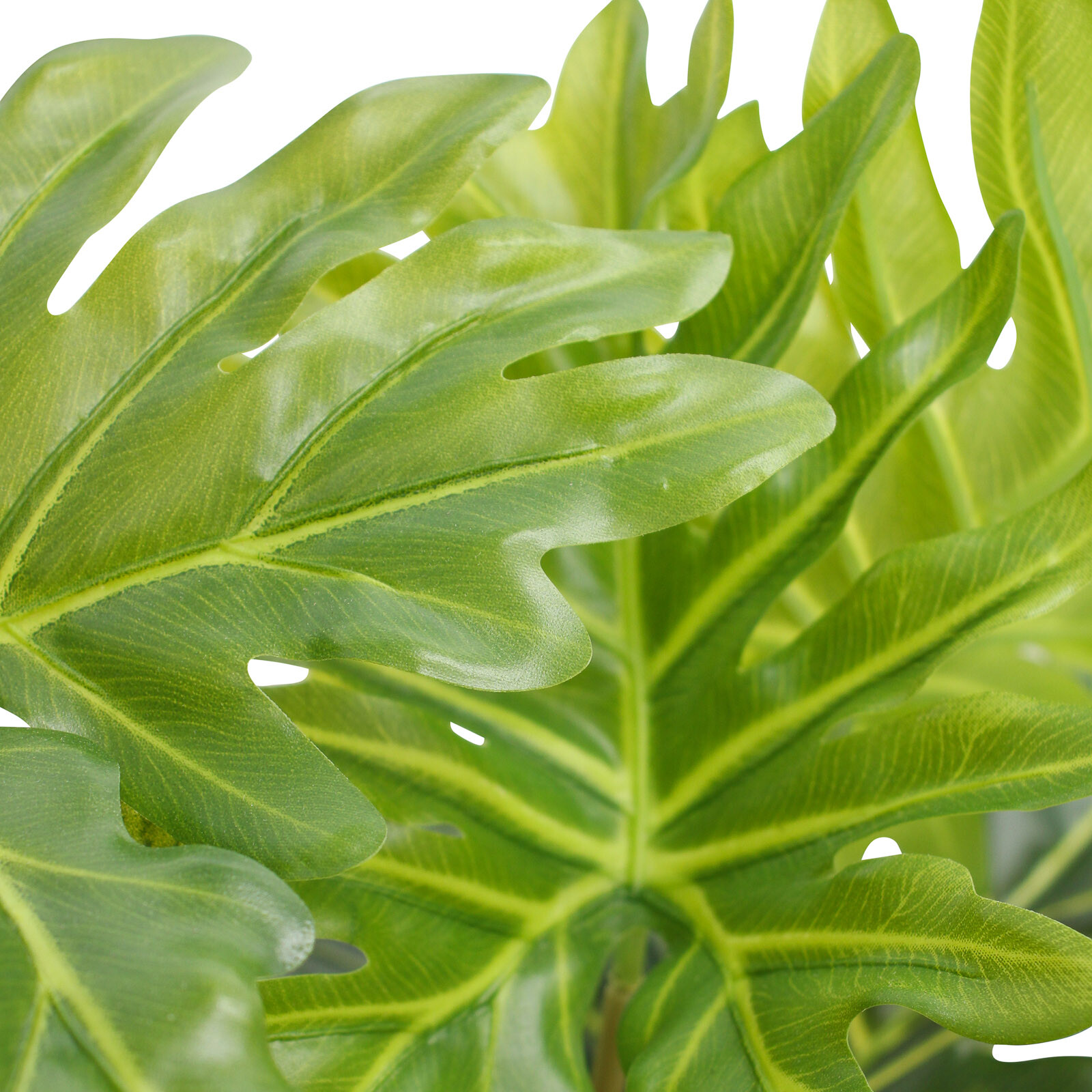 Faux Monstera 