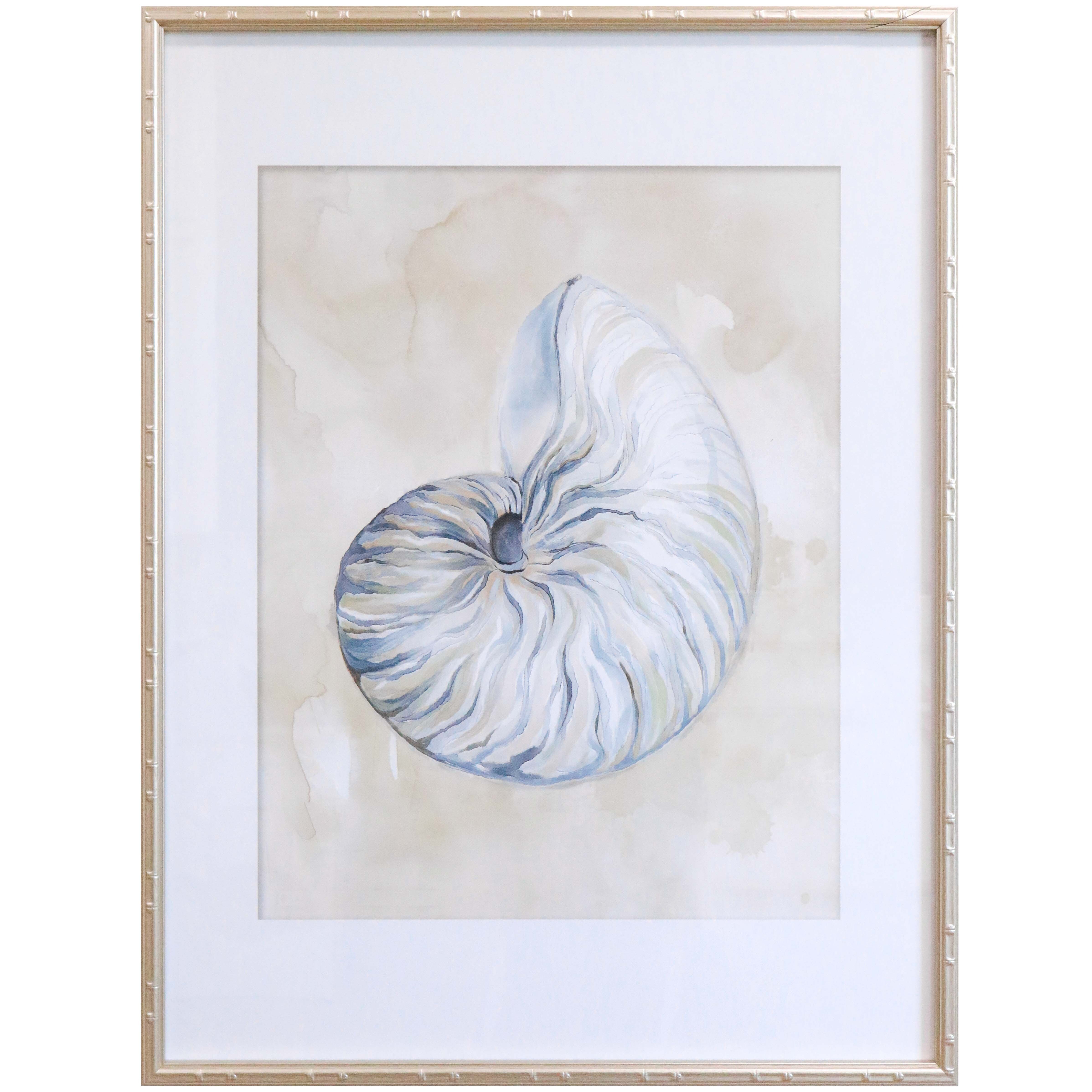 Framed Print Shell B