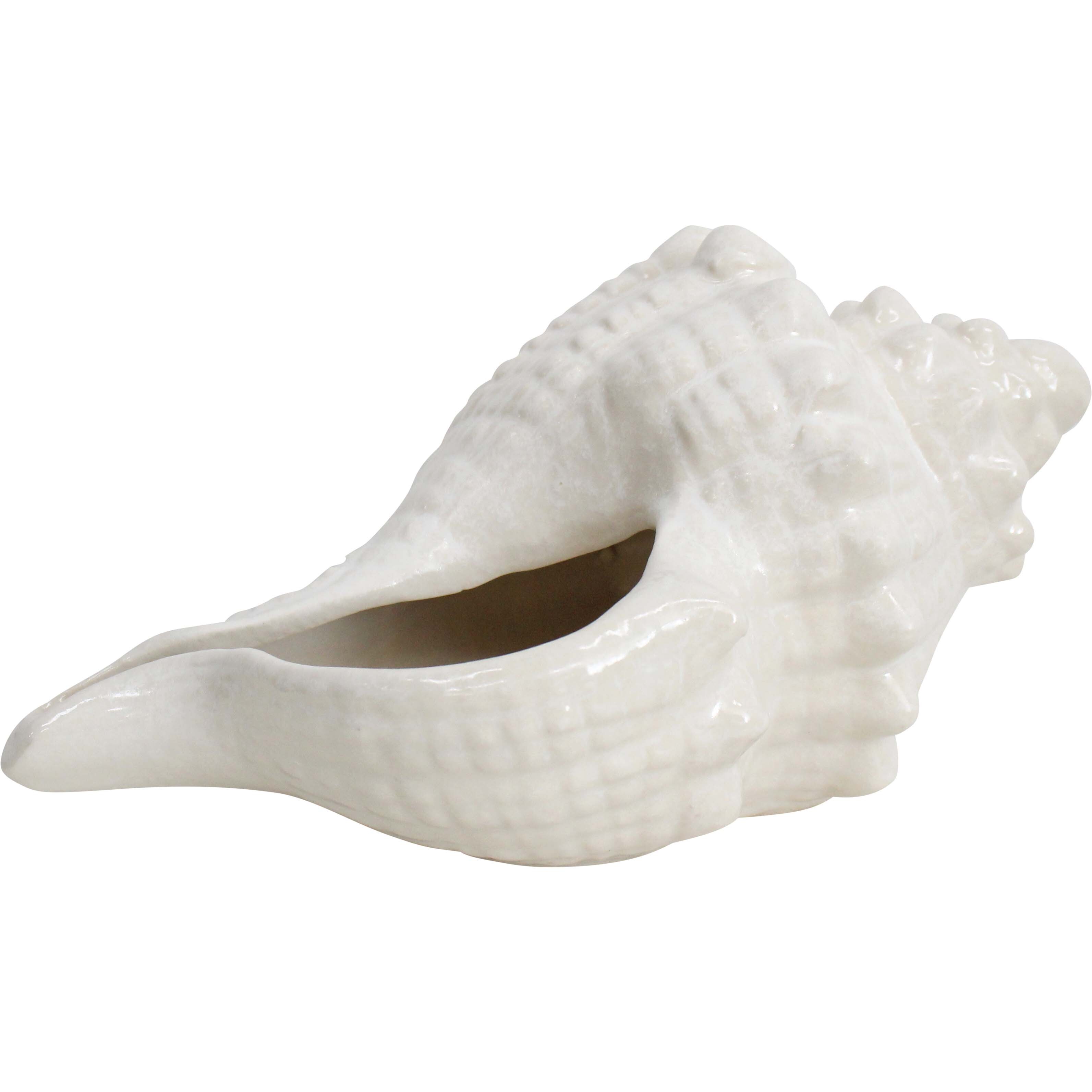 Shell Conoch Rustic Ivory