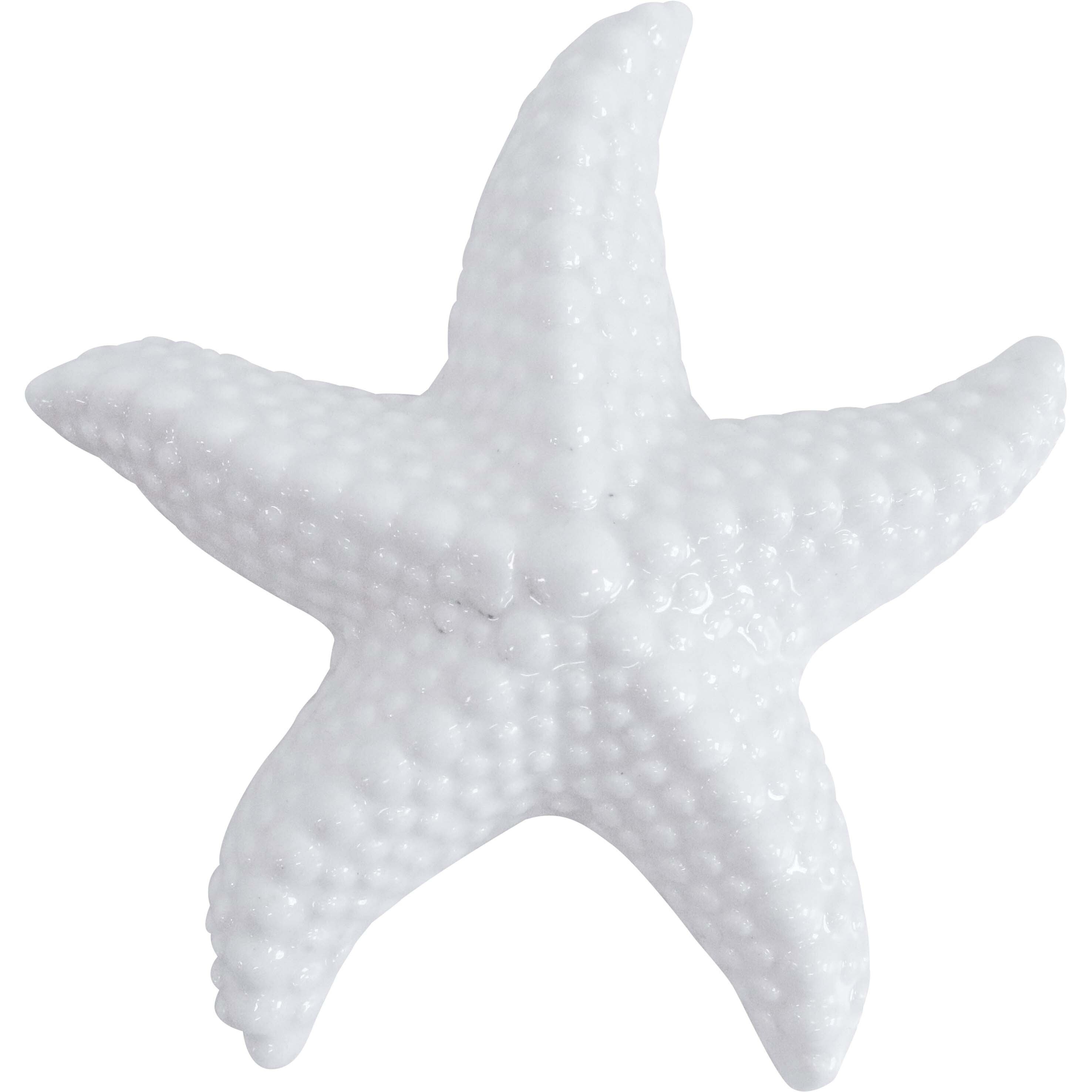 Starfish Sml White