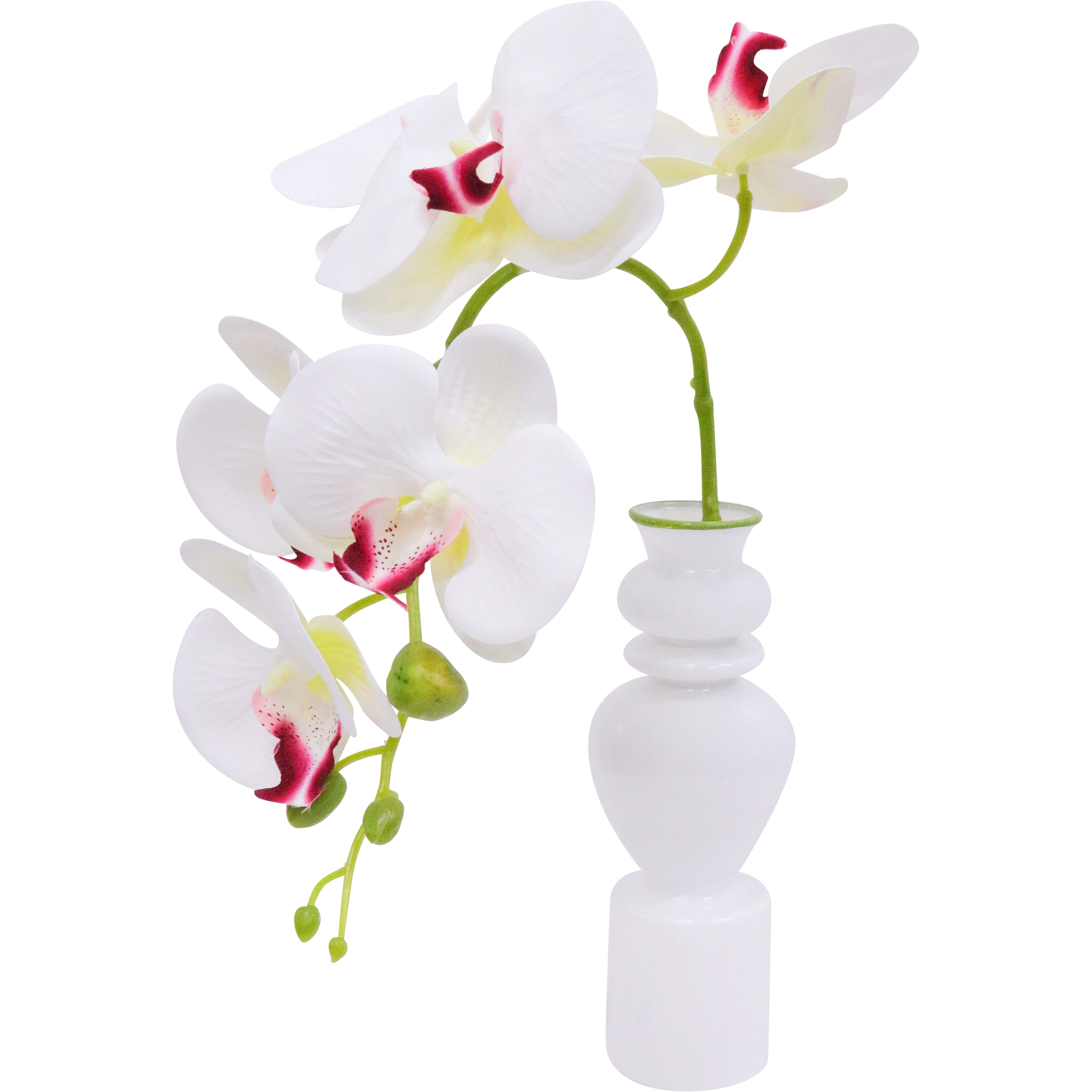 Bud Vase White