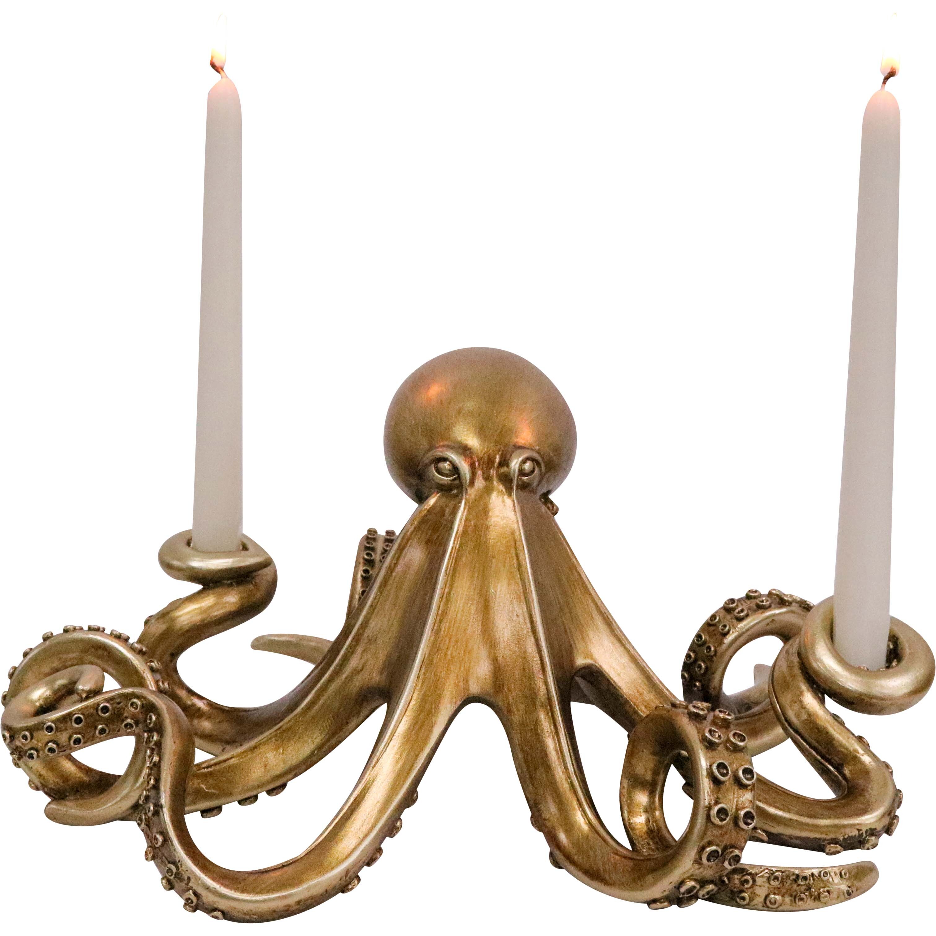 Octopus  