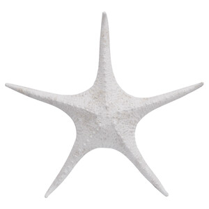 Code CM6046-1