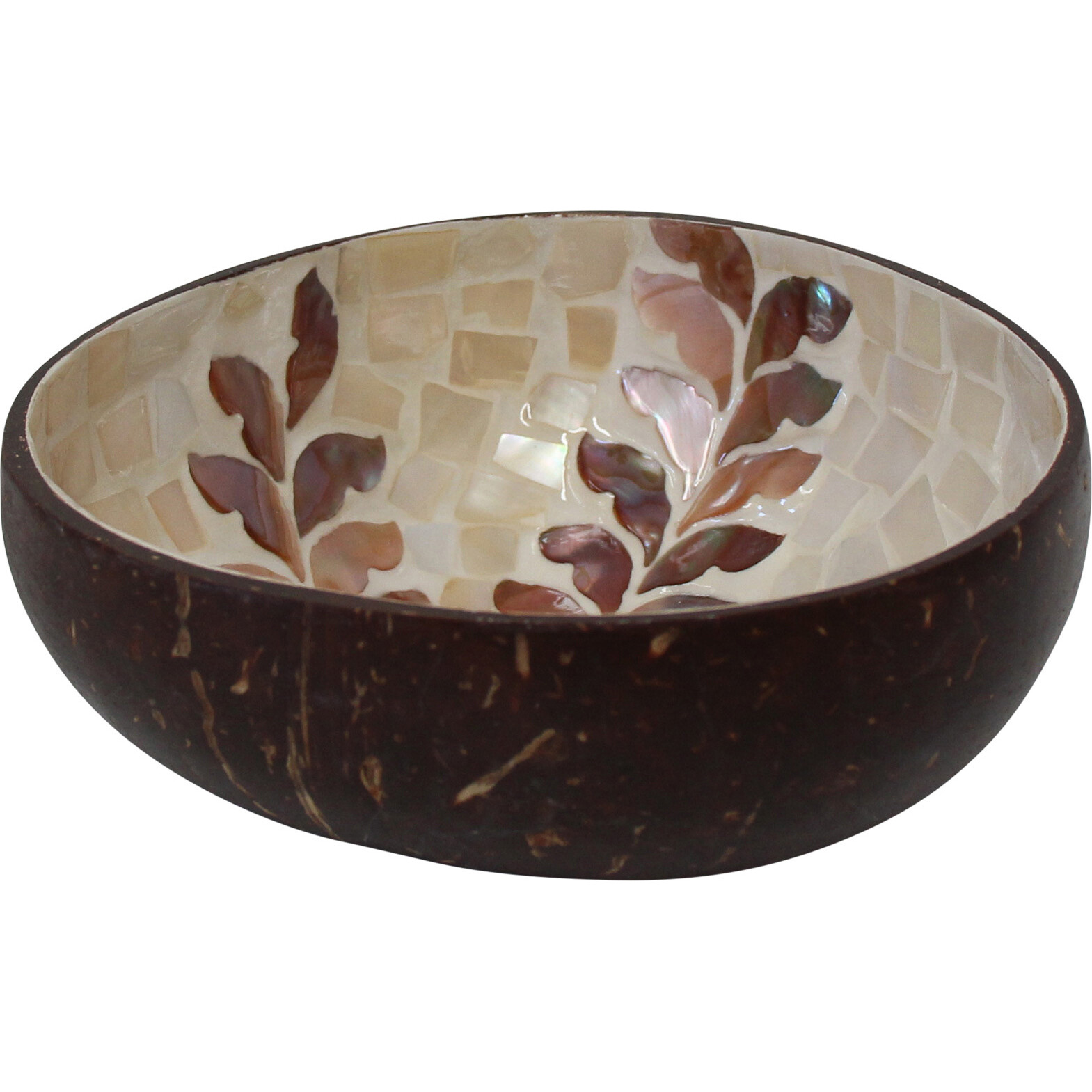 Coco Bowl Fern Natural