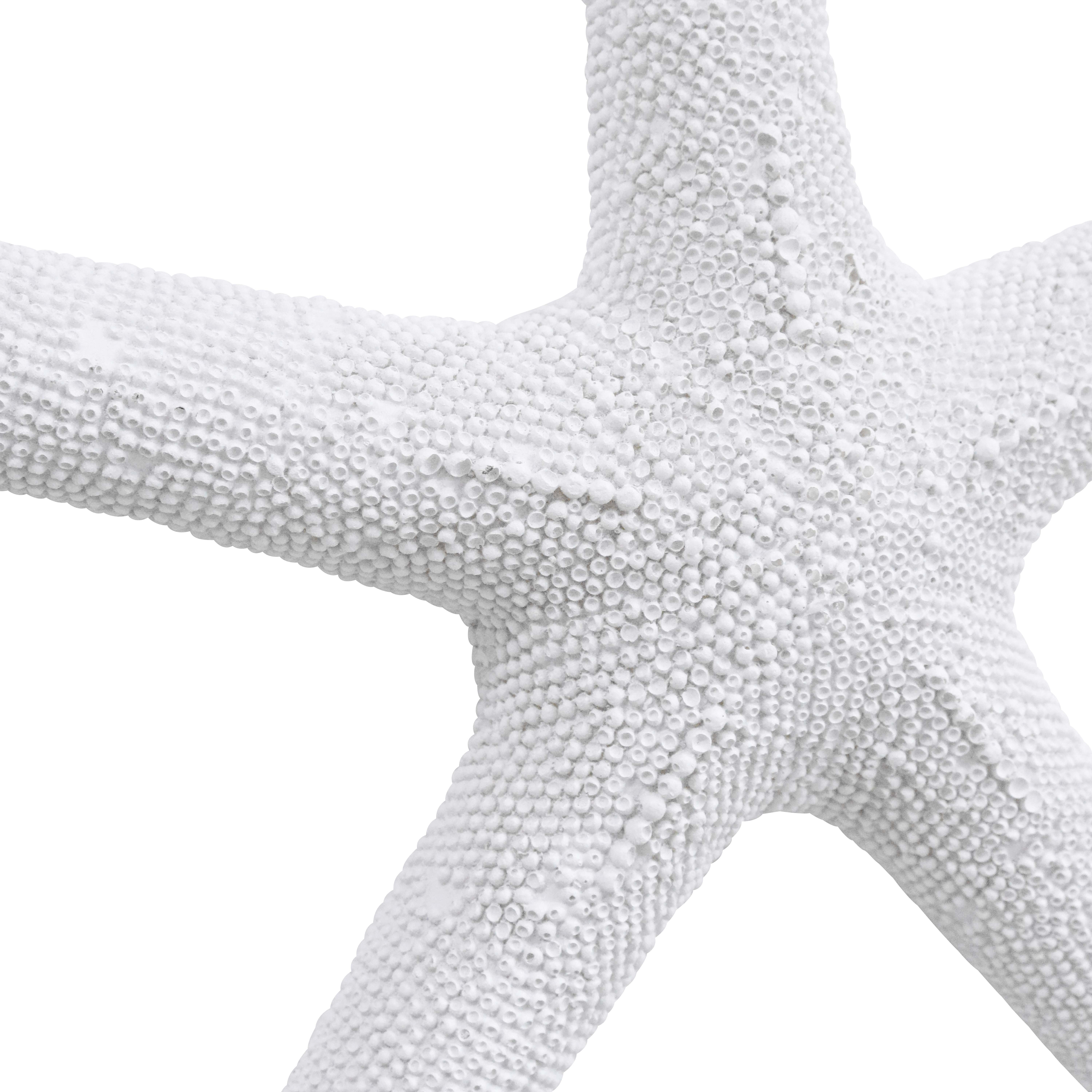 Starfish XL Textured