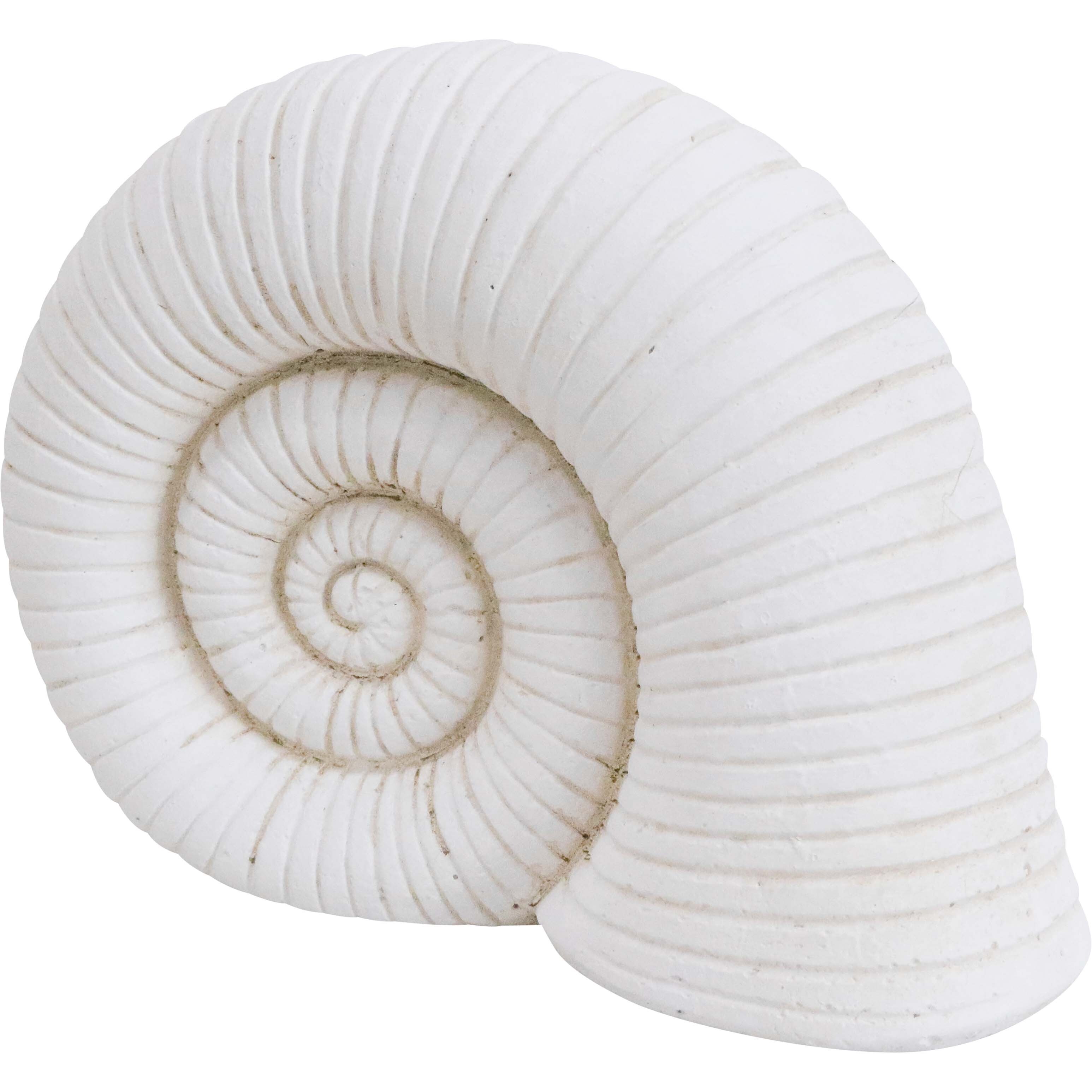 Shell Ornament