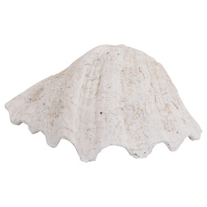 Code CM6049-1