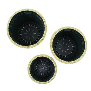 Code JL6234-4