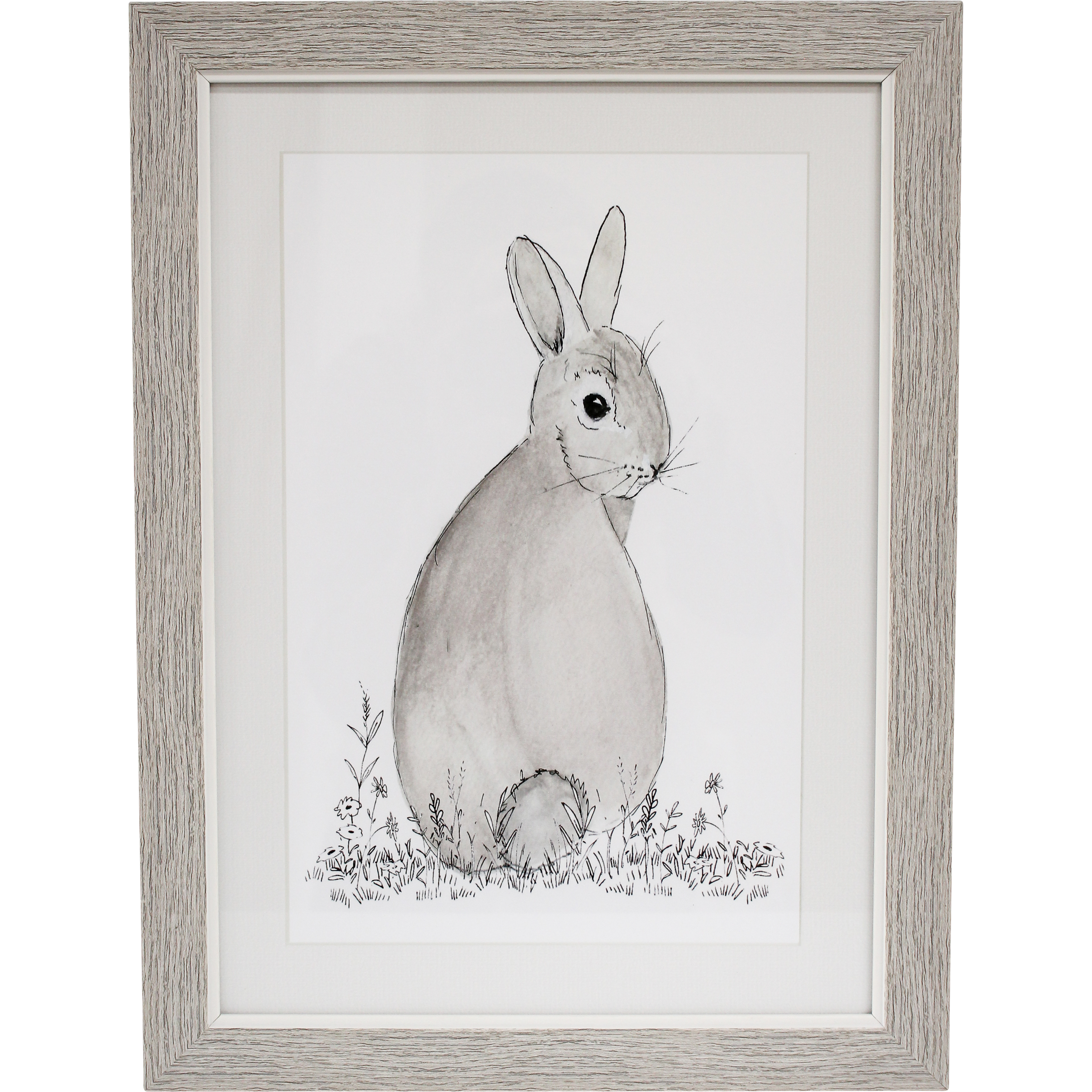 Framed Print Bunnykins