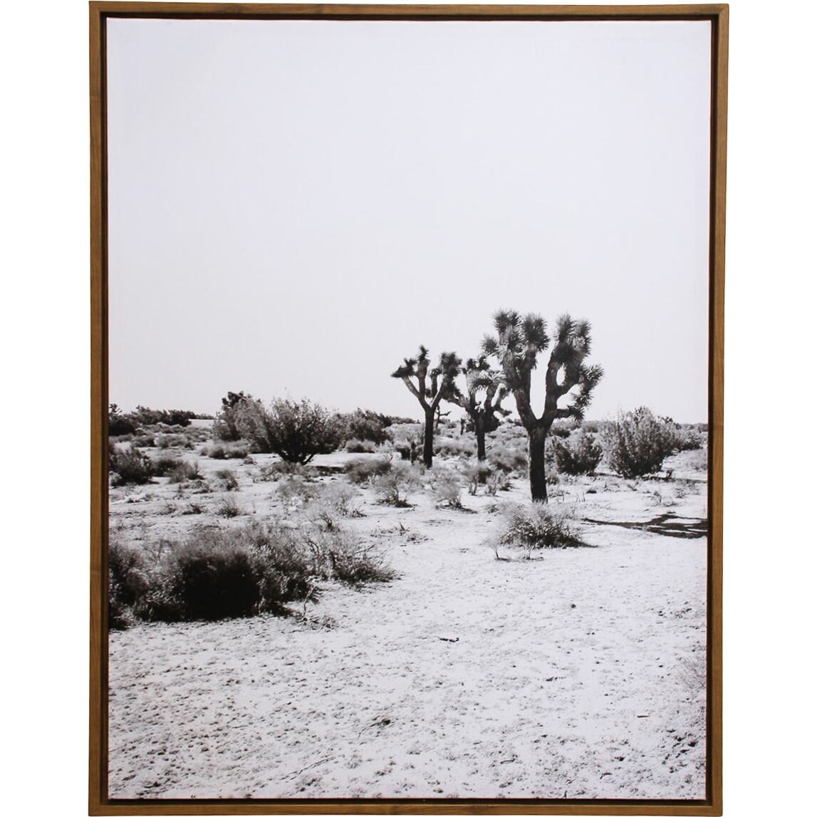 Framed Canvas Joshua Tree