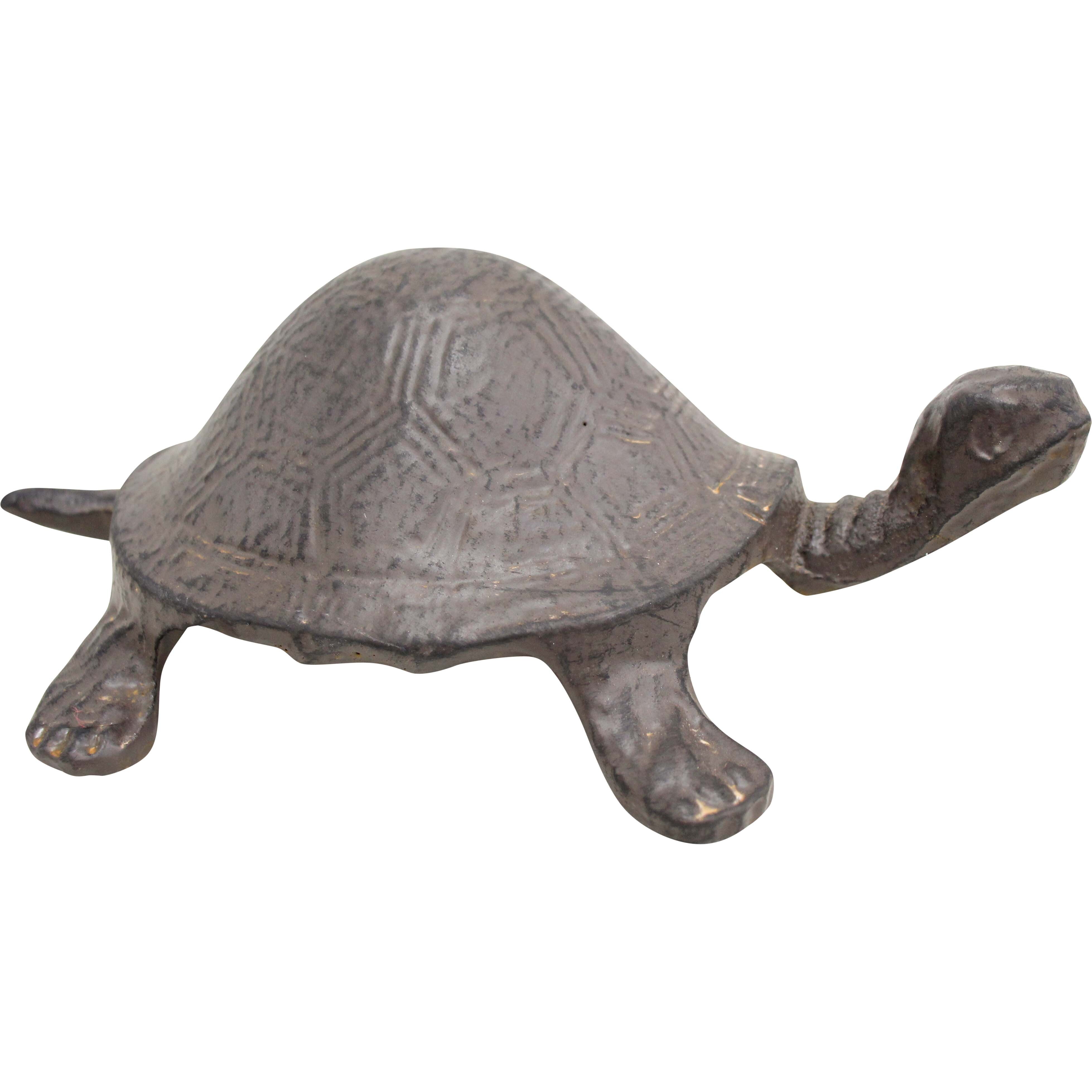 Key Hide Tortoise