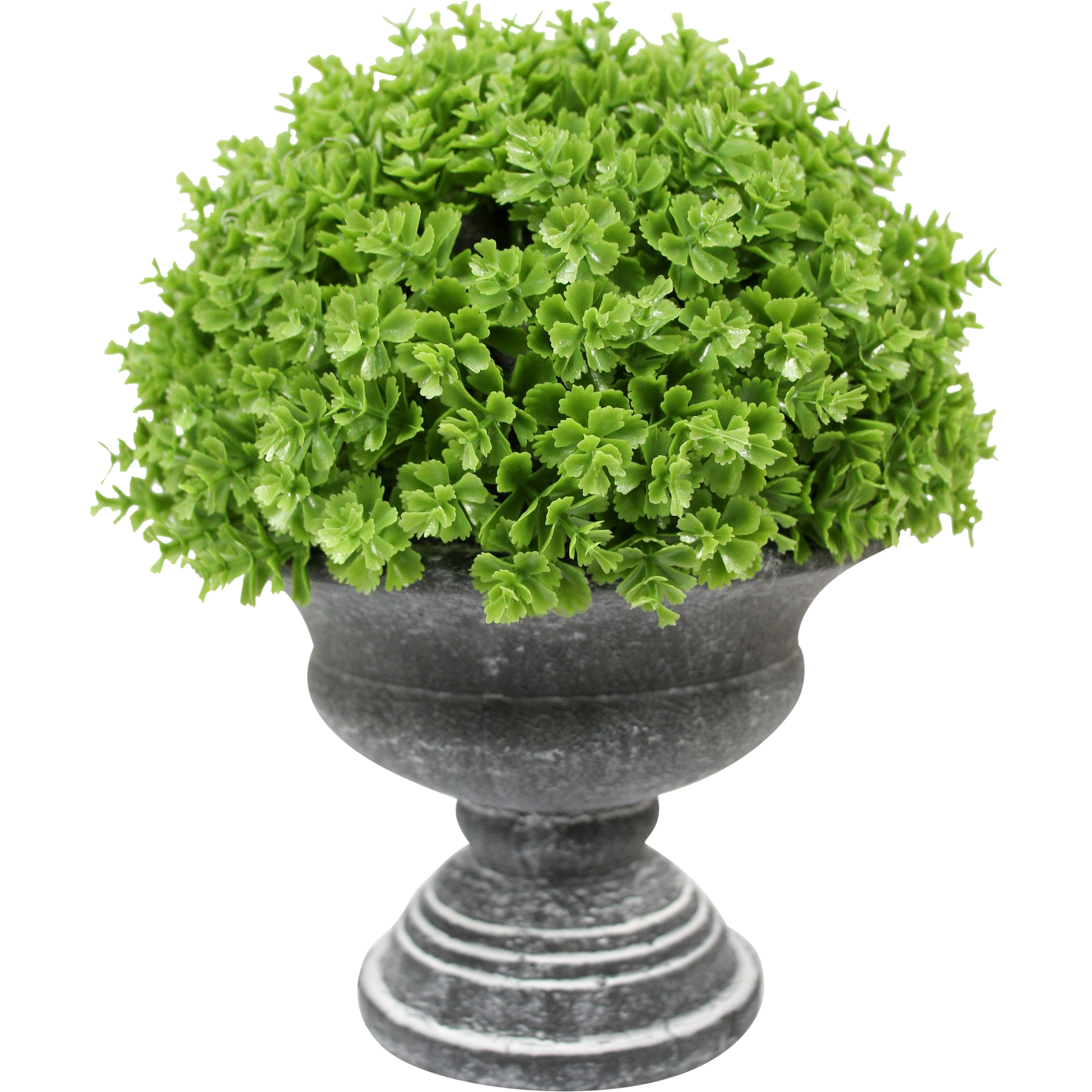 Faux Formal Fern Moss