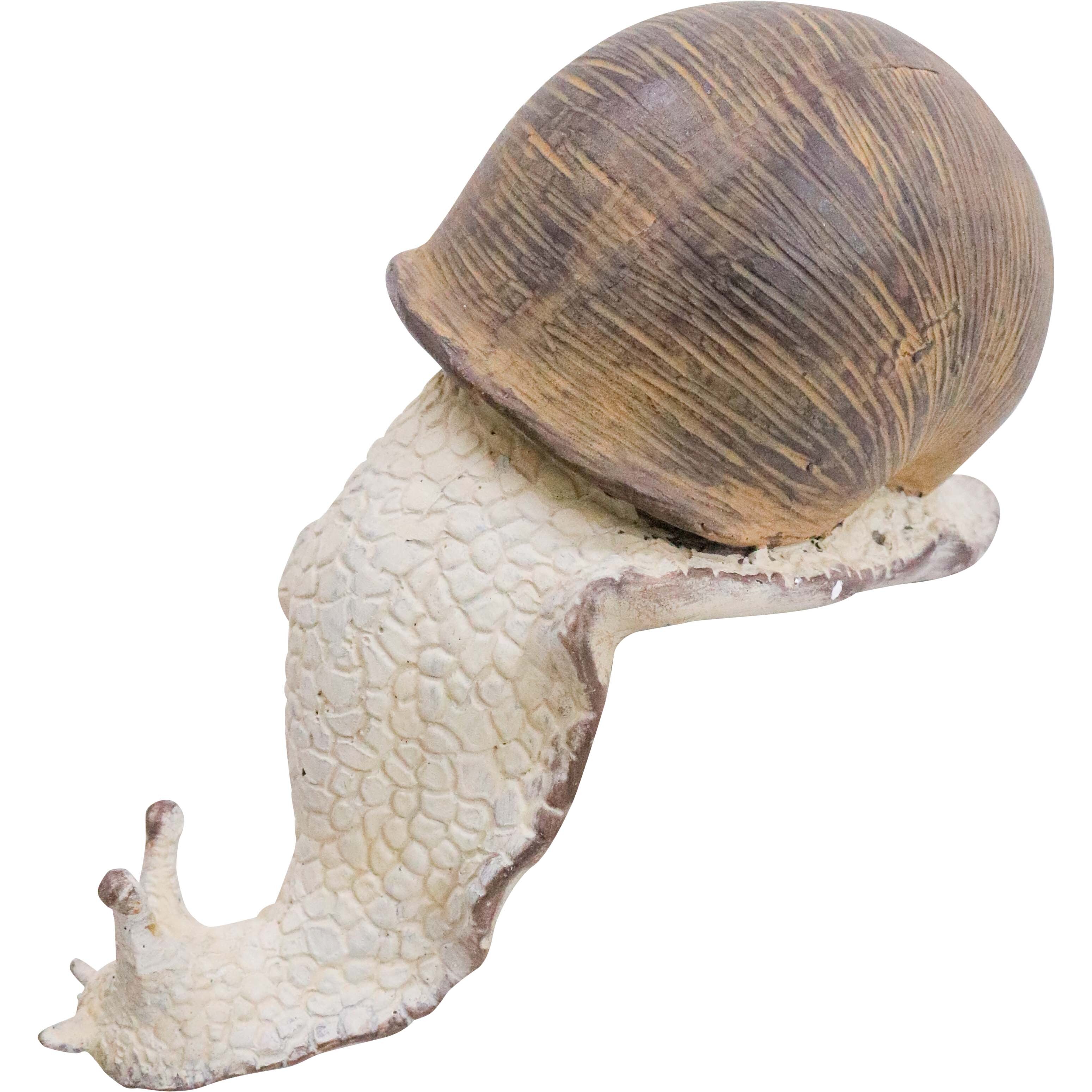 Ledge Snail Lrg