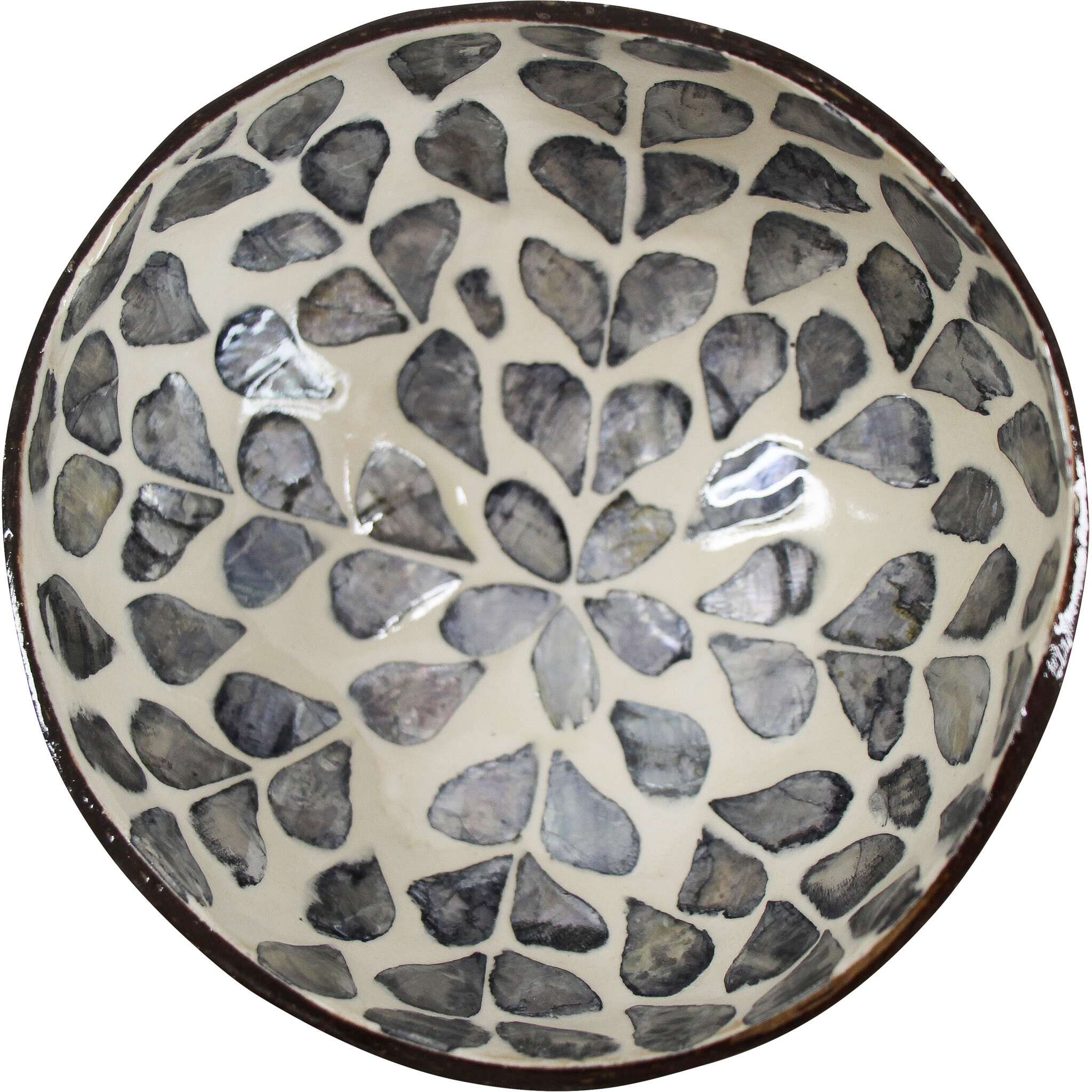 Coconut Bowl Flower  Coconut Bowl Flower