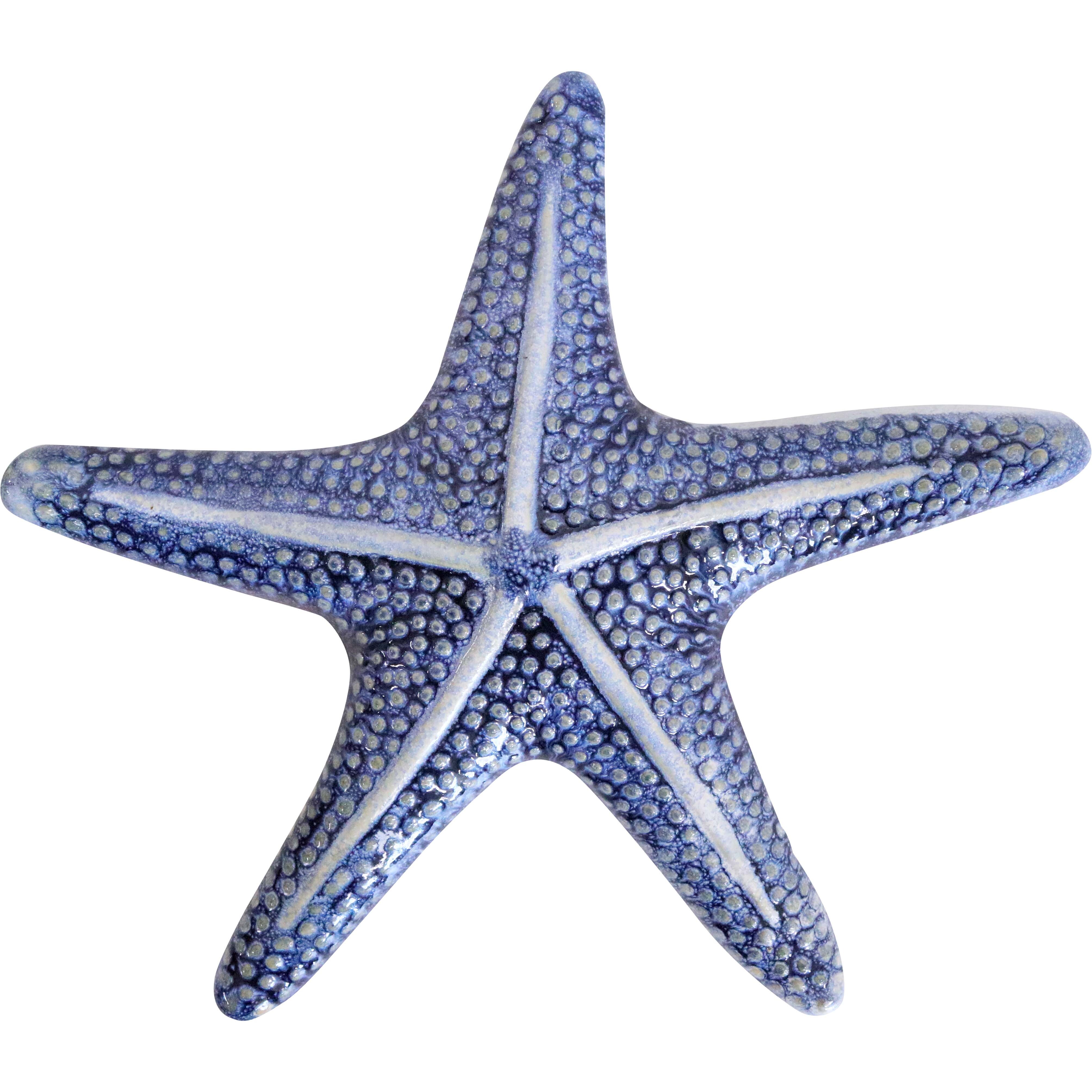 Starfish Blue