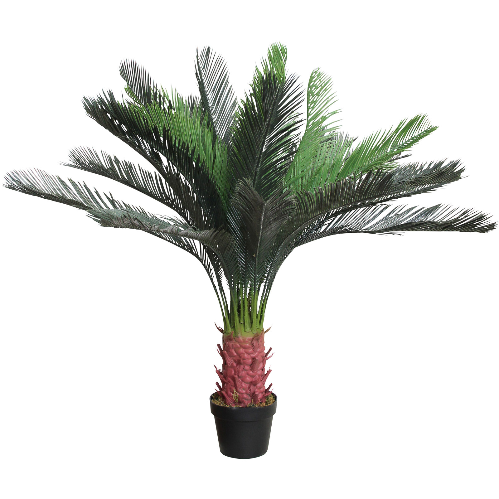 Faux Cycad XL