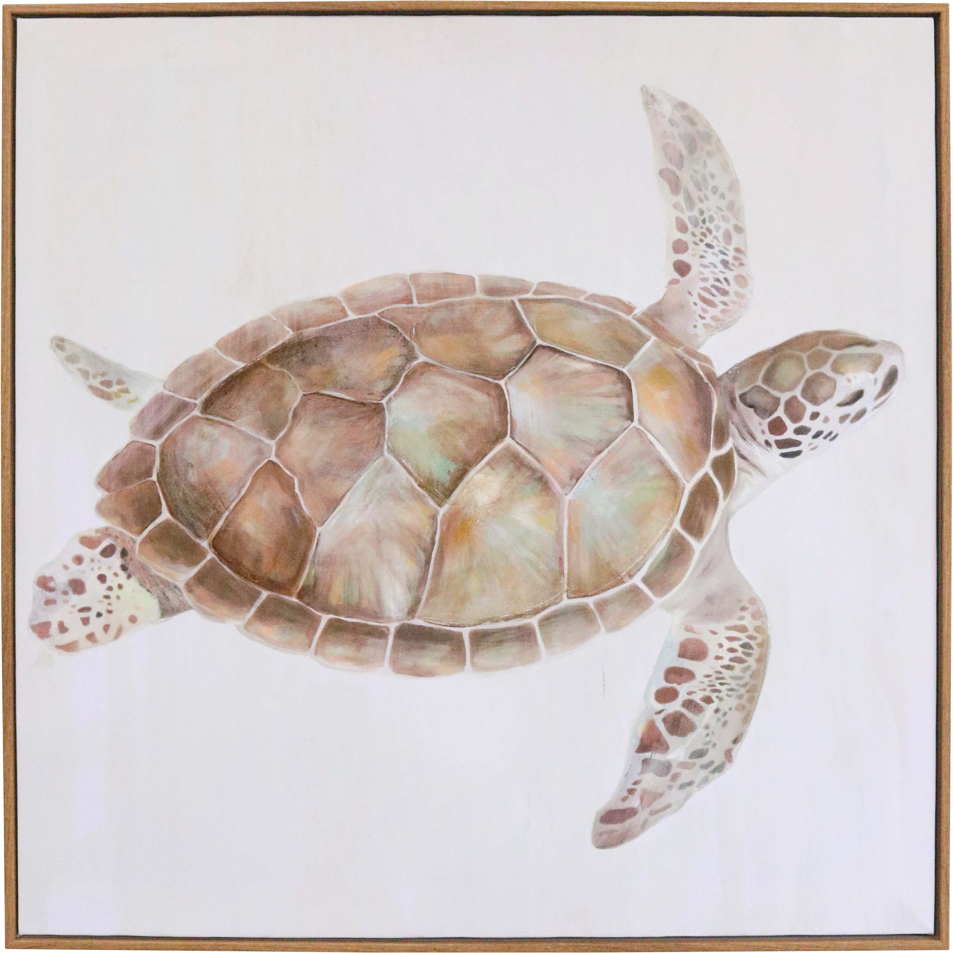 Framed Canvas Turtle