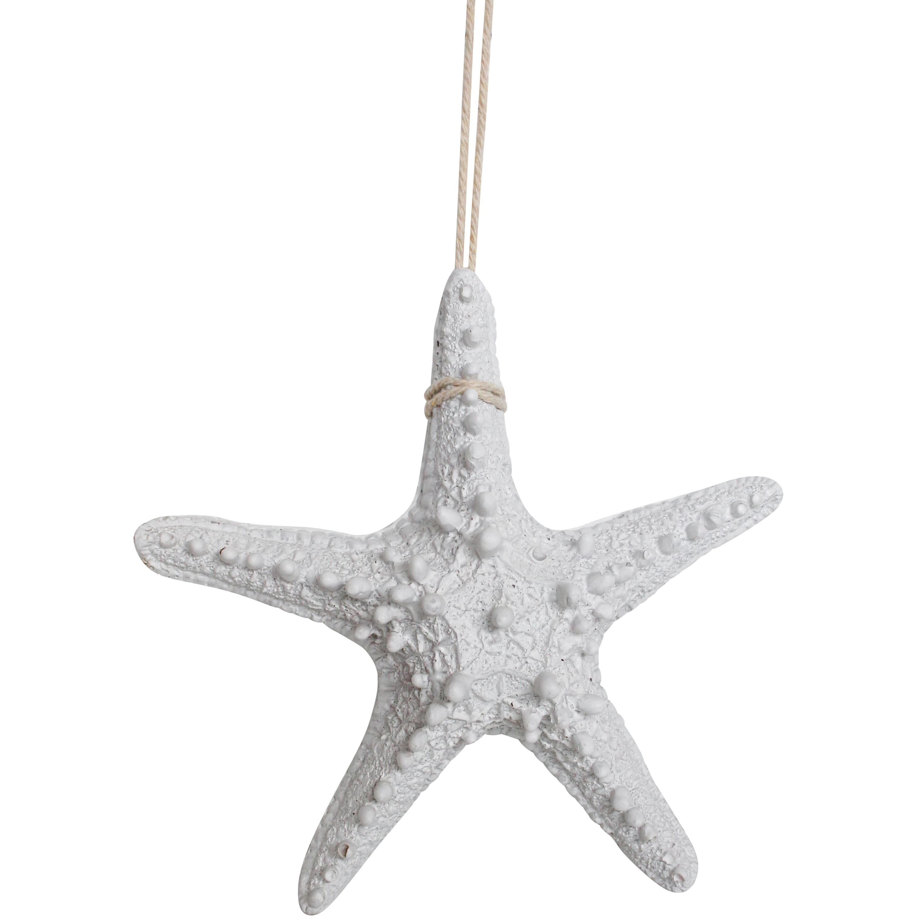 Starfish Rustic Med