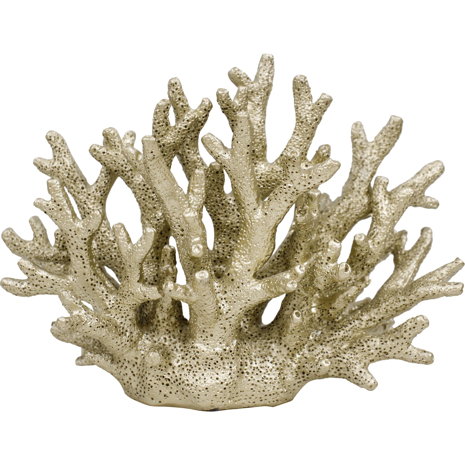 Coral Oyster Gold