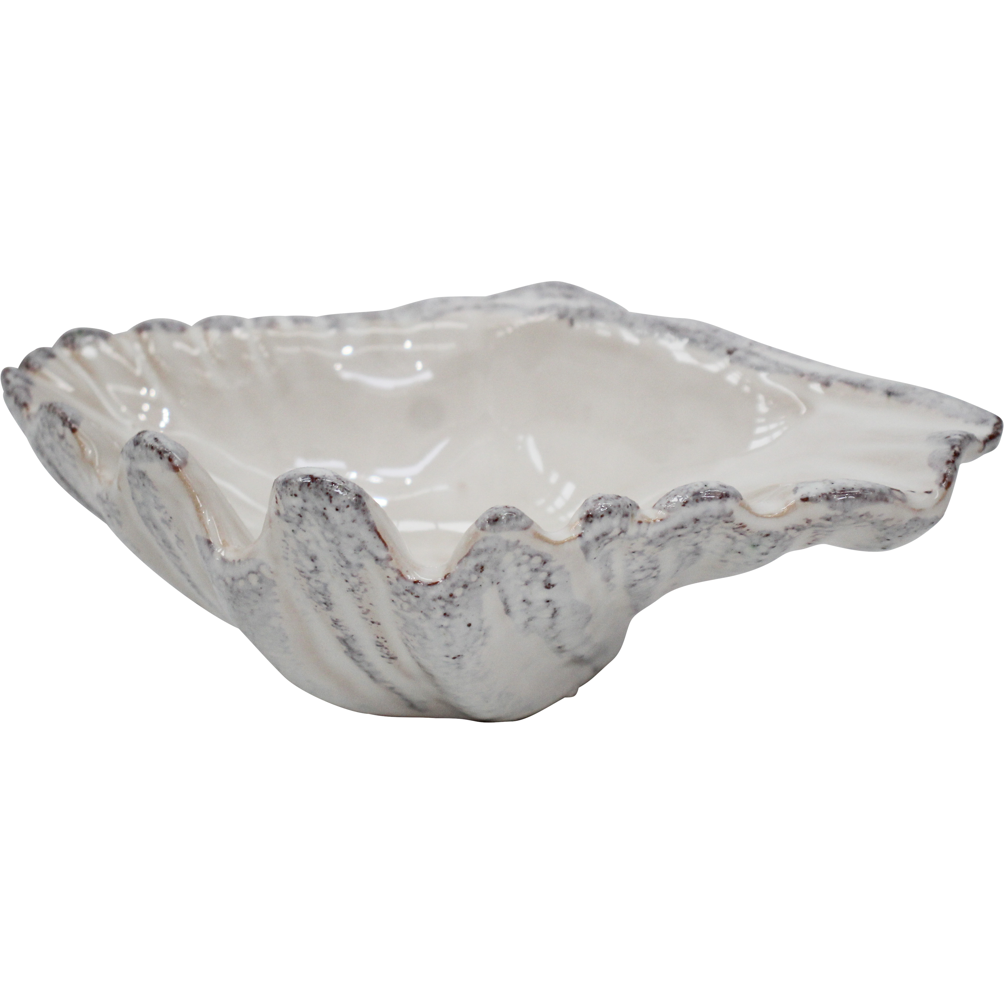 Shell Dish Ivory