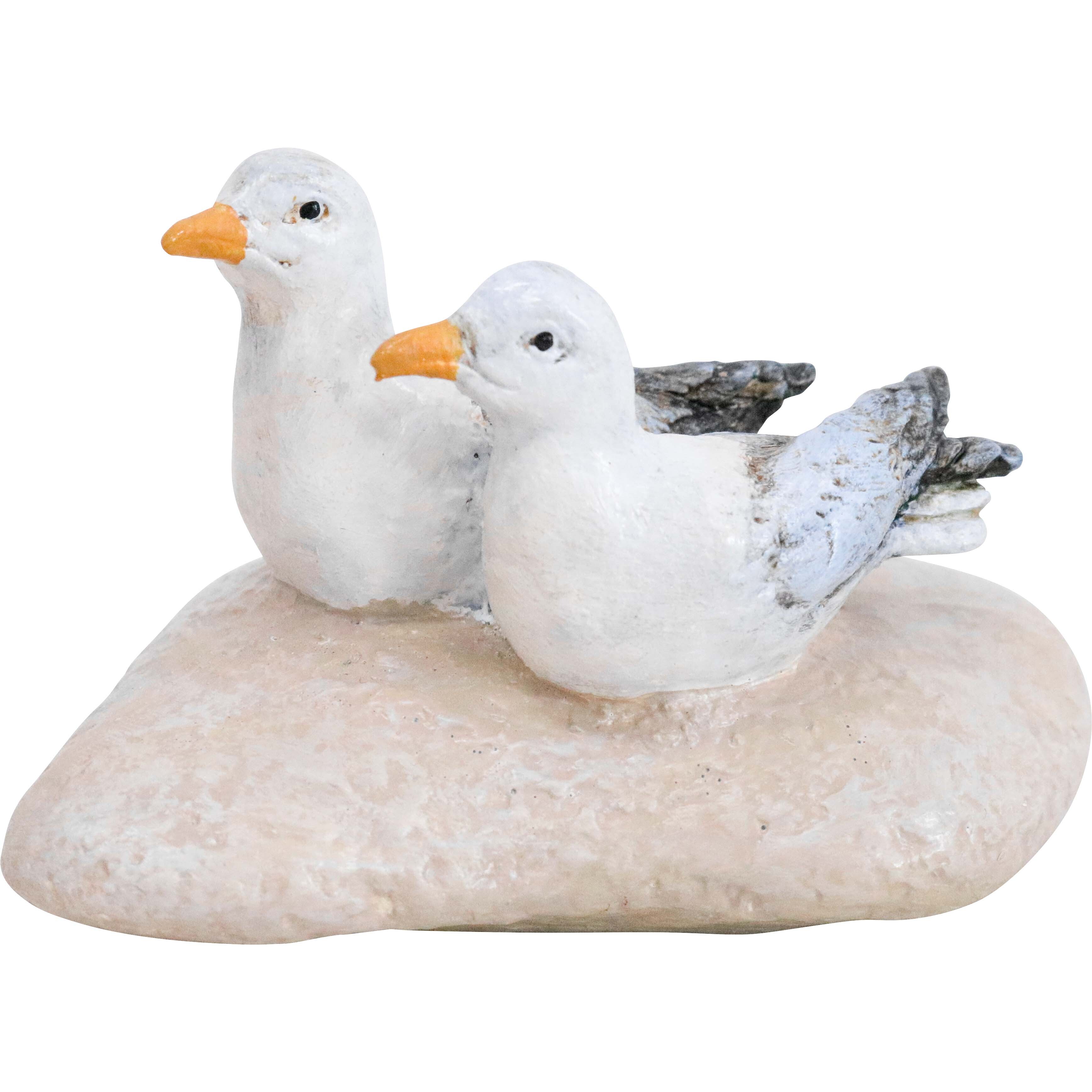 Seagulls on Rock