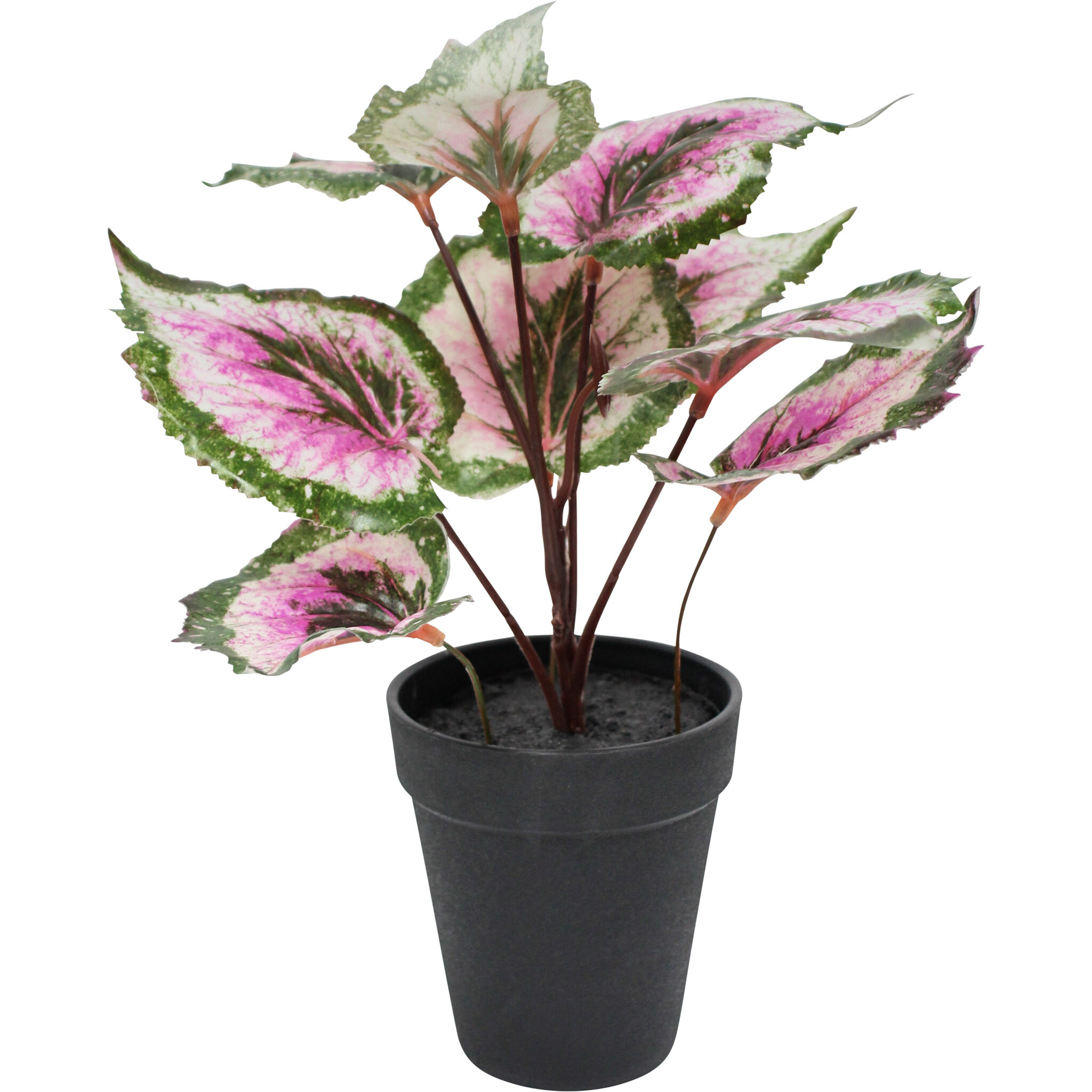 Faux Begonia Purple